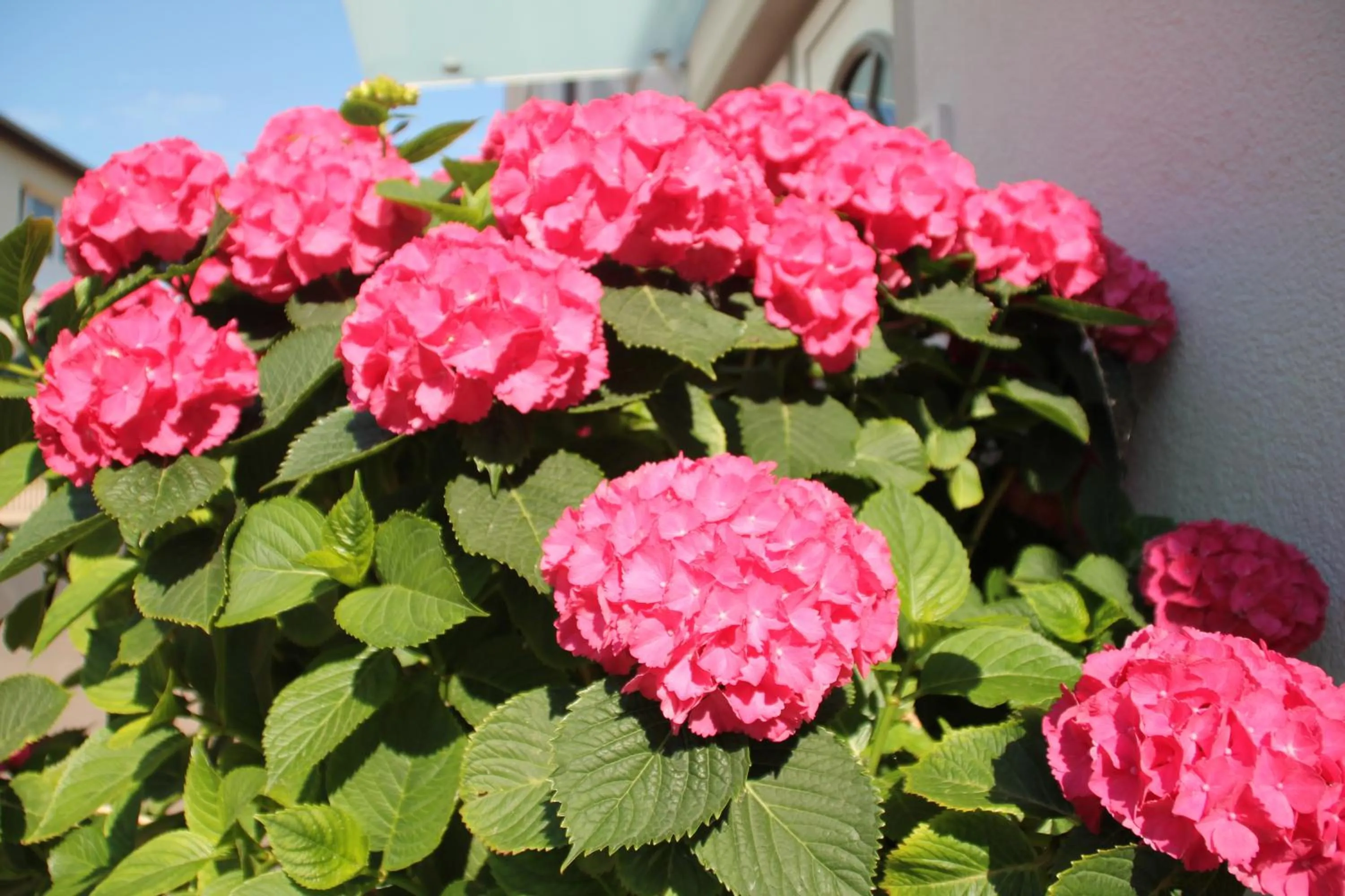 Other in Hotel Meerzeit Binz