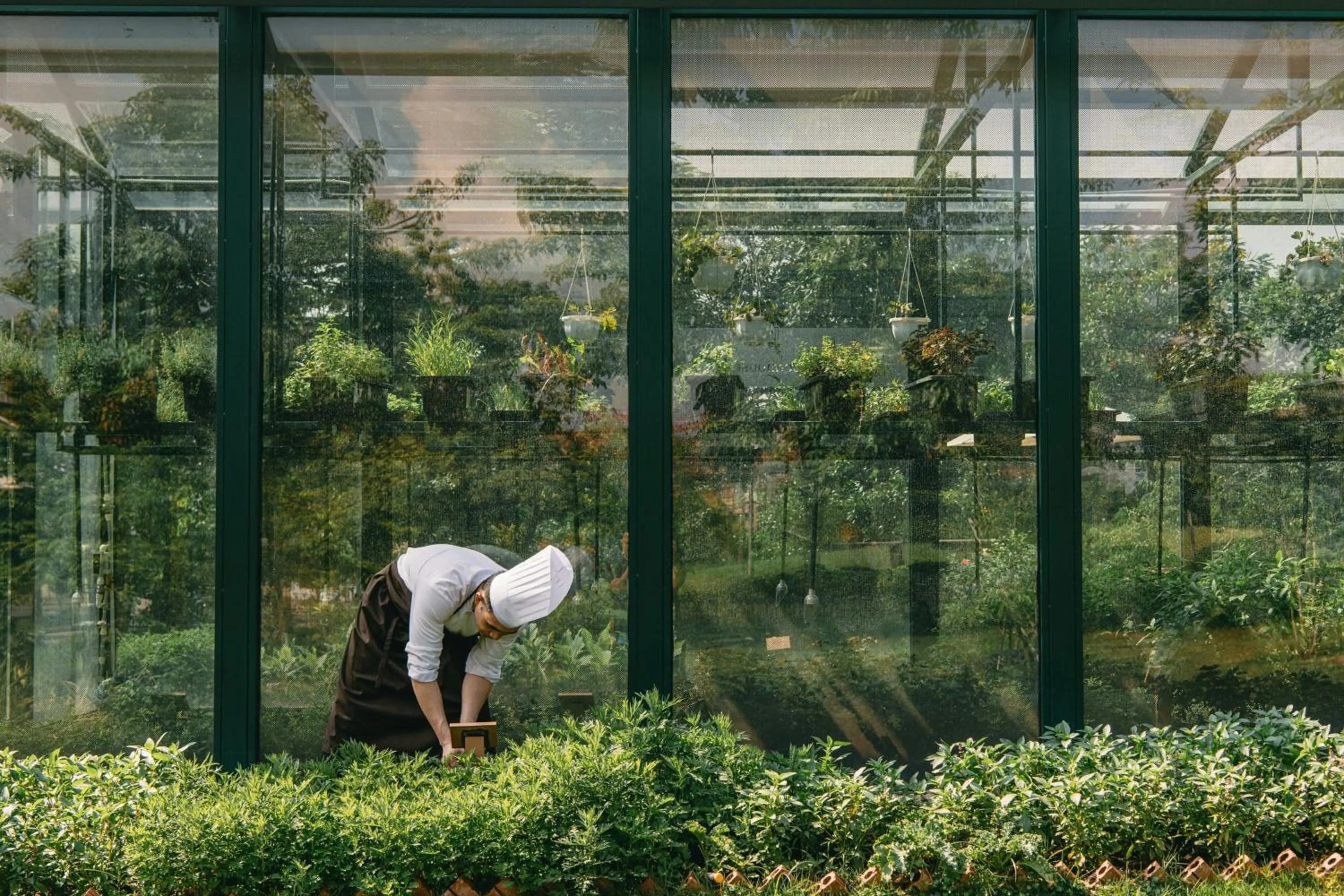 Other in JW Marriott Hotel Hanoi