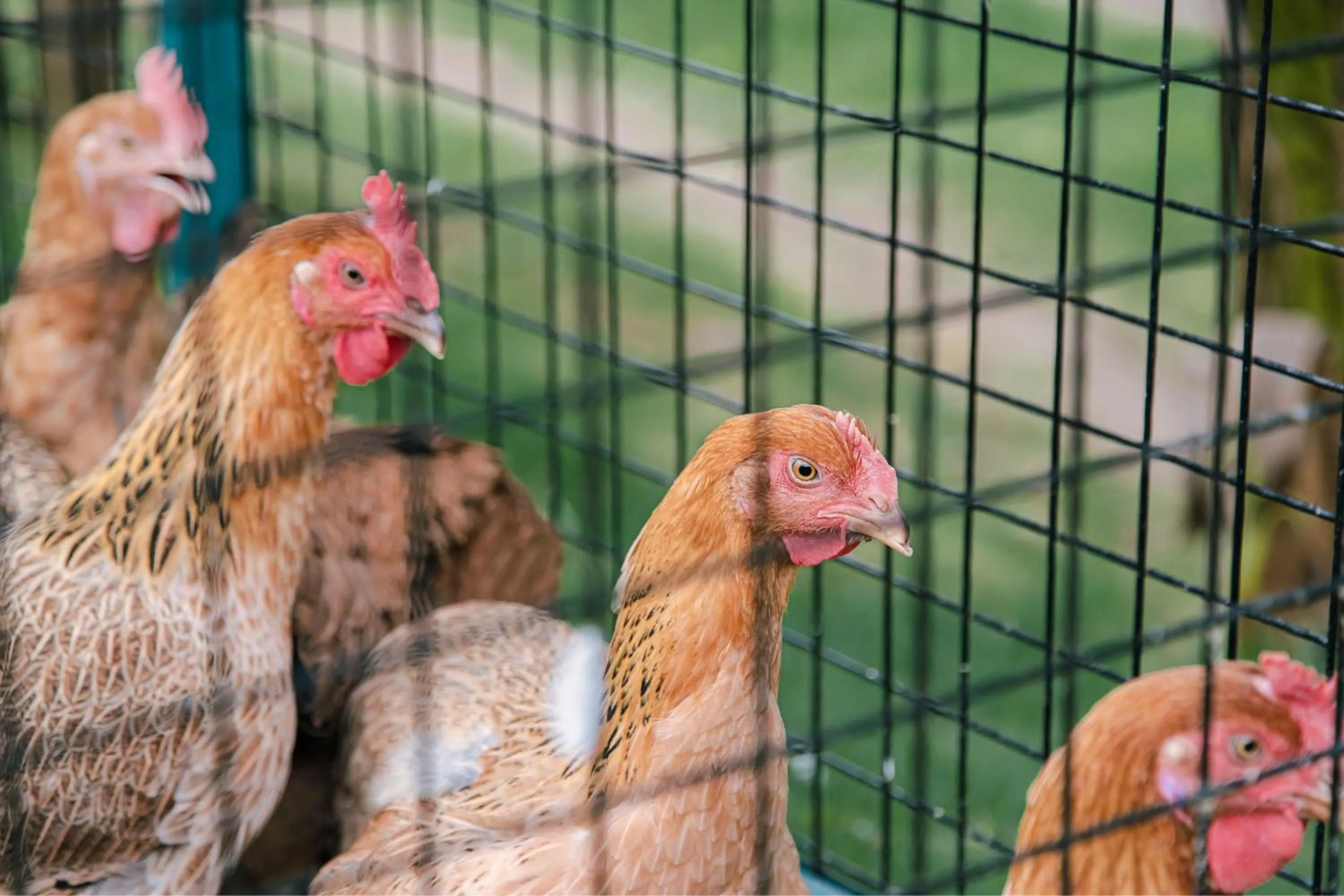 Other in JW Marriott Hotel Hanoi