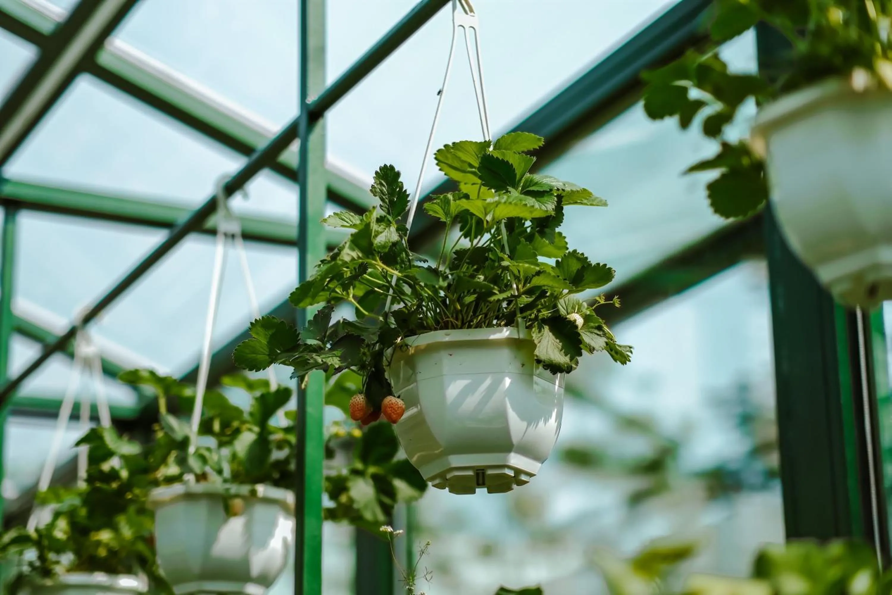 Other in JW Marriott Hotel Hanoi