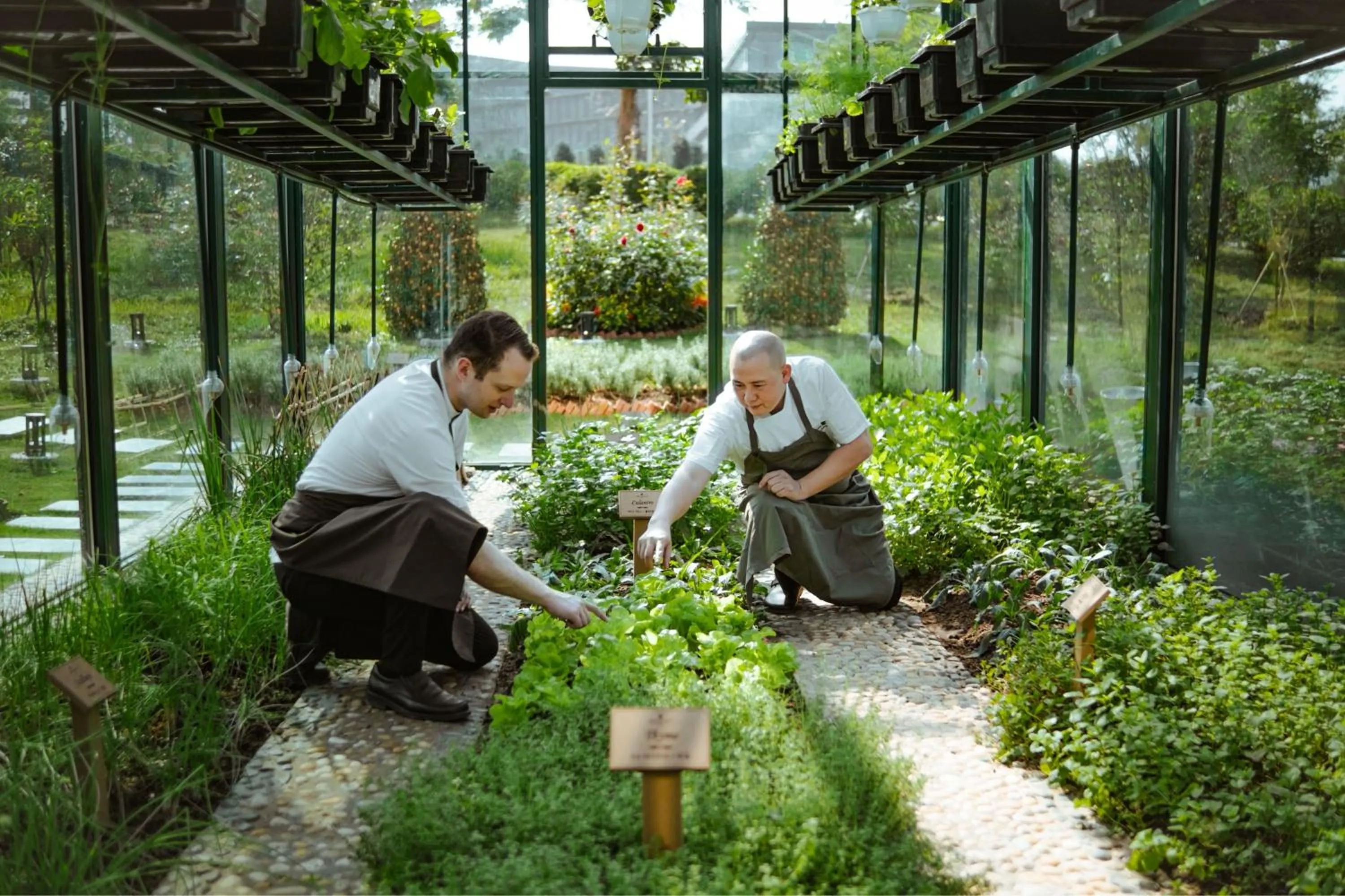 Other in JW Marriott Hotel Hanoi