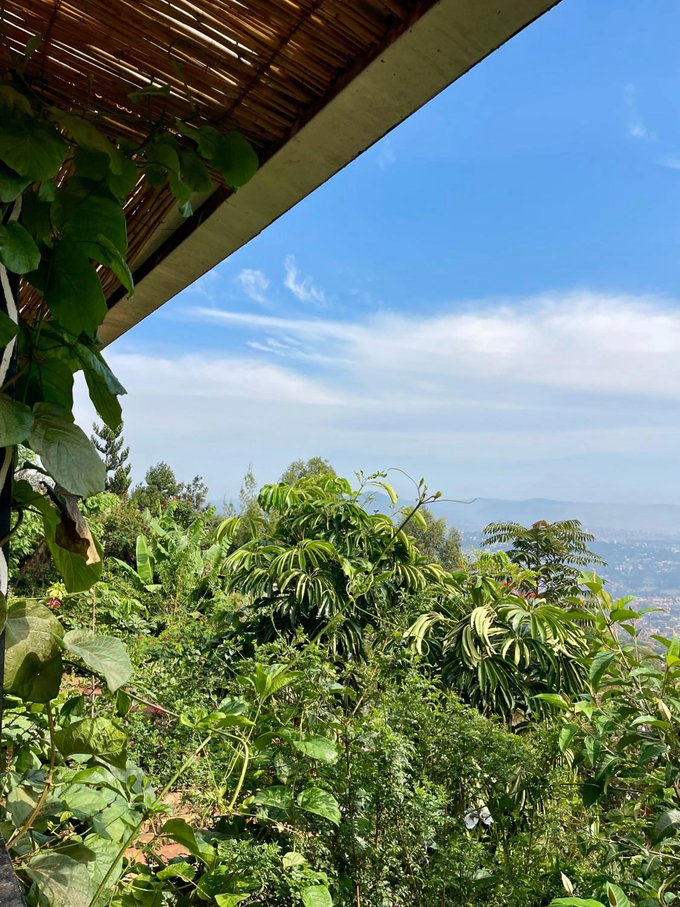 Natural landscape in Eagle View Lodge - Kigali