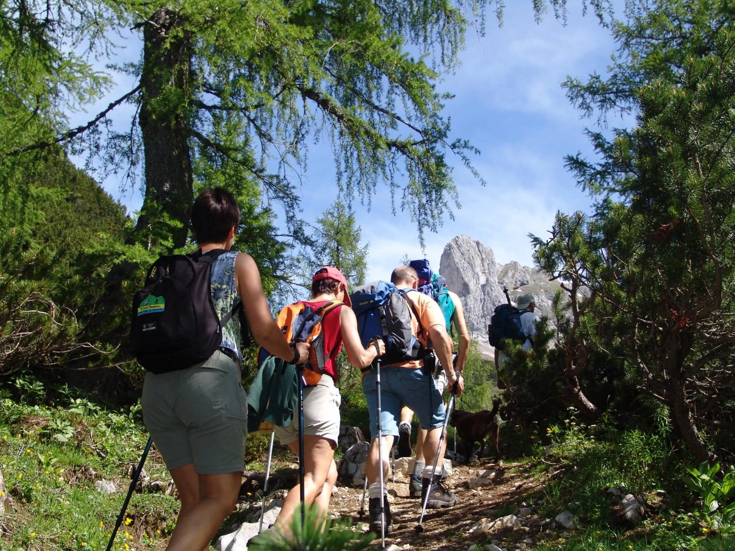 Hiking in Hotel Kreutzer