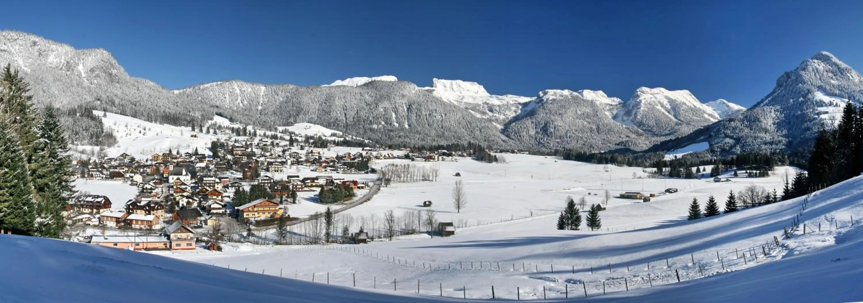 Natural landscape in Hotel Kreutzer