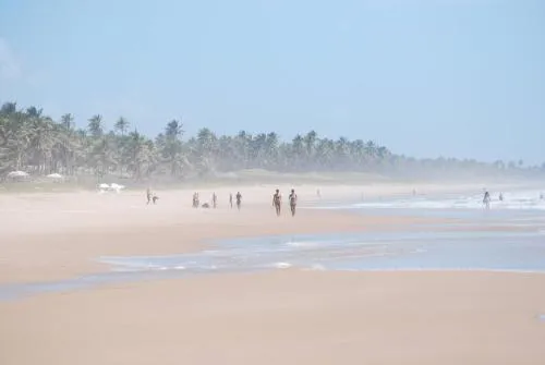 MangoBrazil