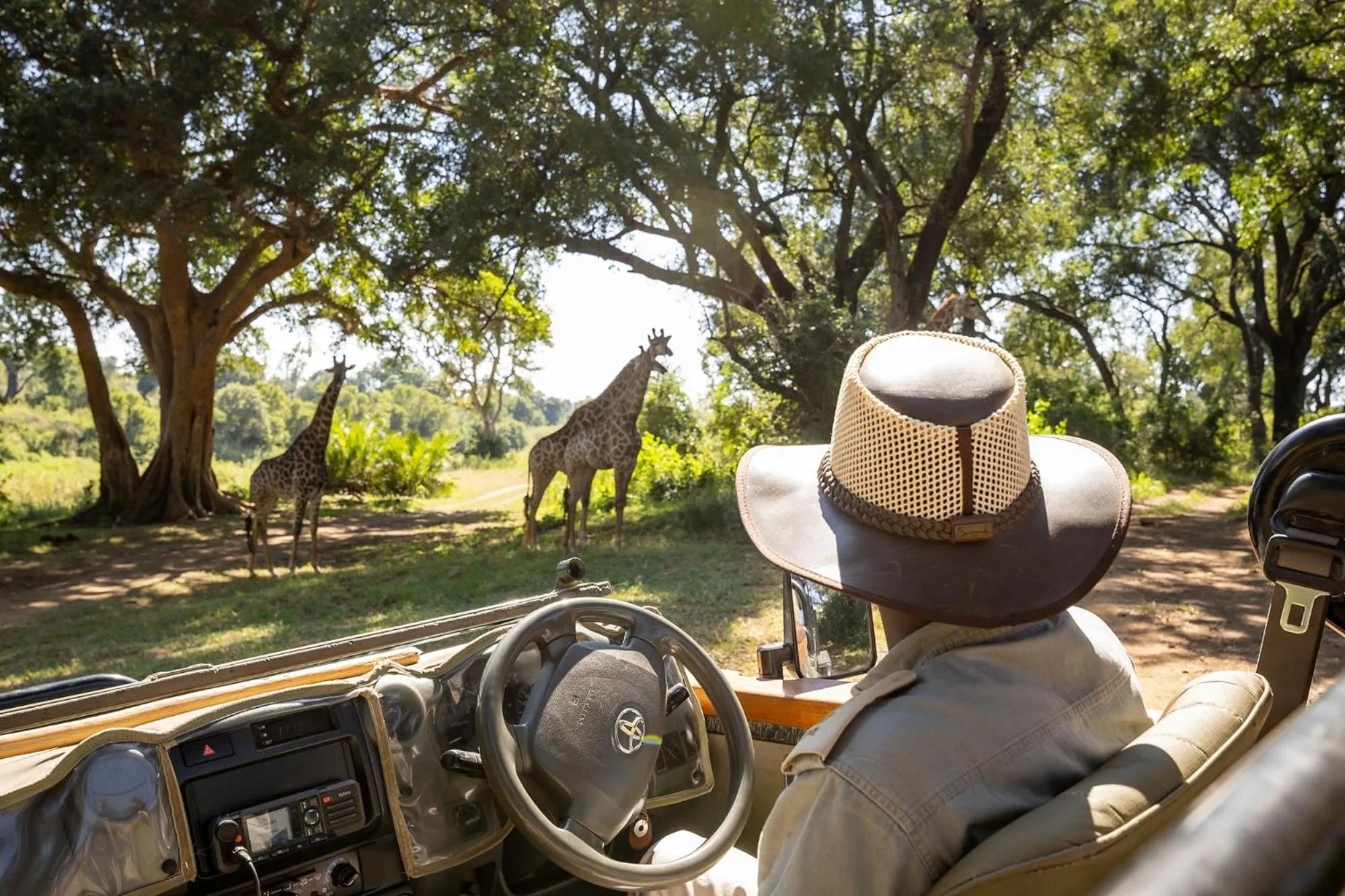 Food and drinks in Karongwe - River Safari Lodge