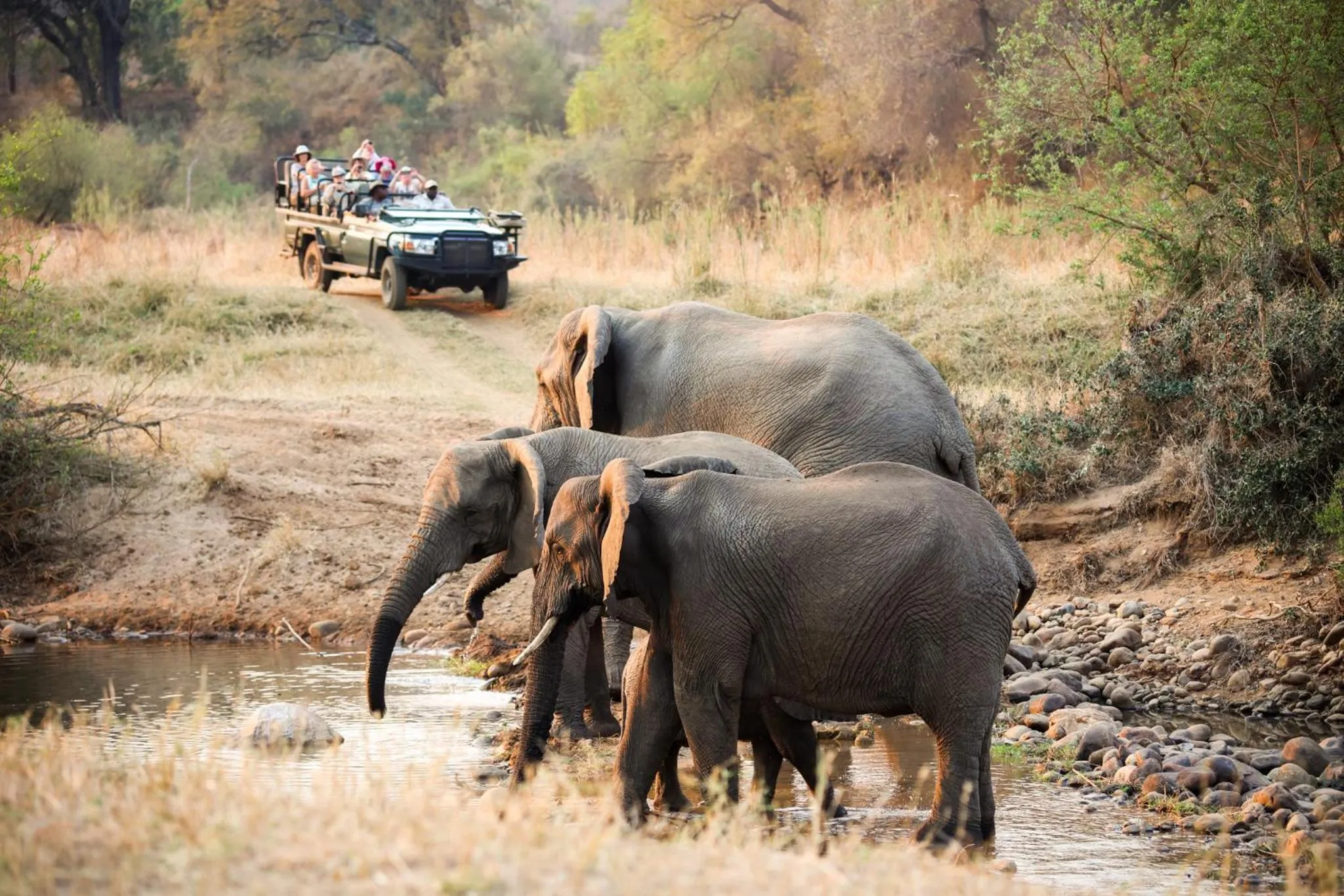 Property building in Karongwe - River Safari Lodge