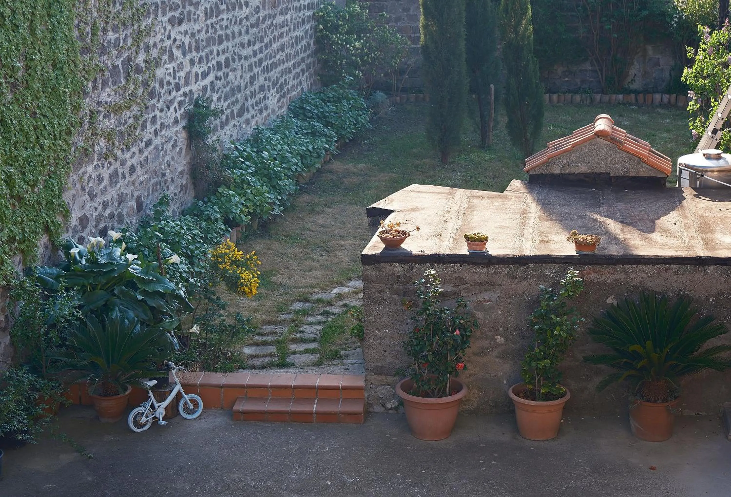 Garden view in Conte Spencer