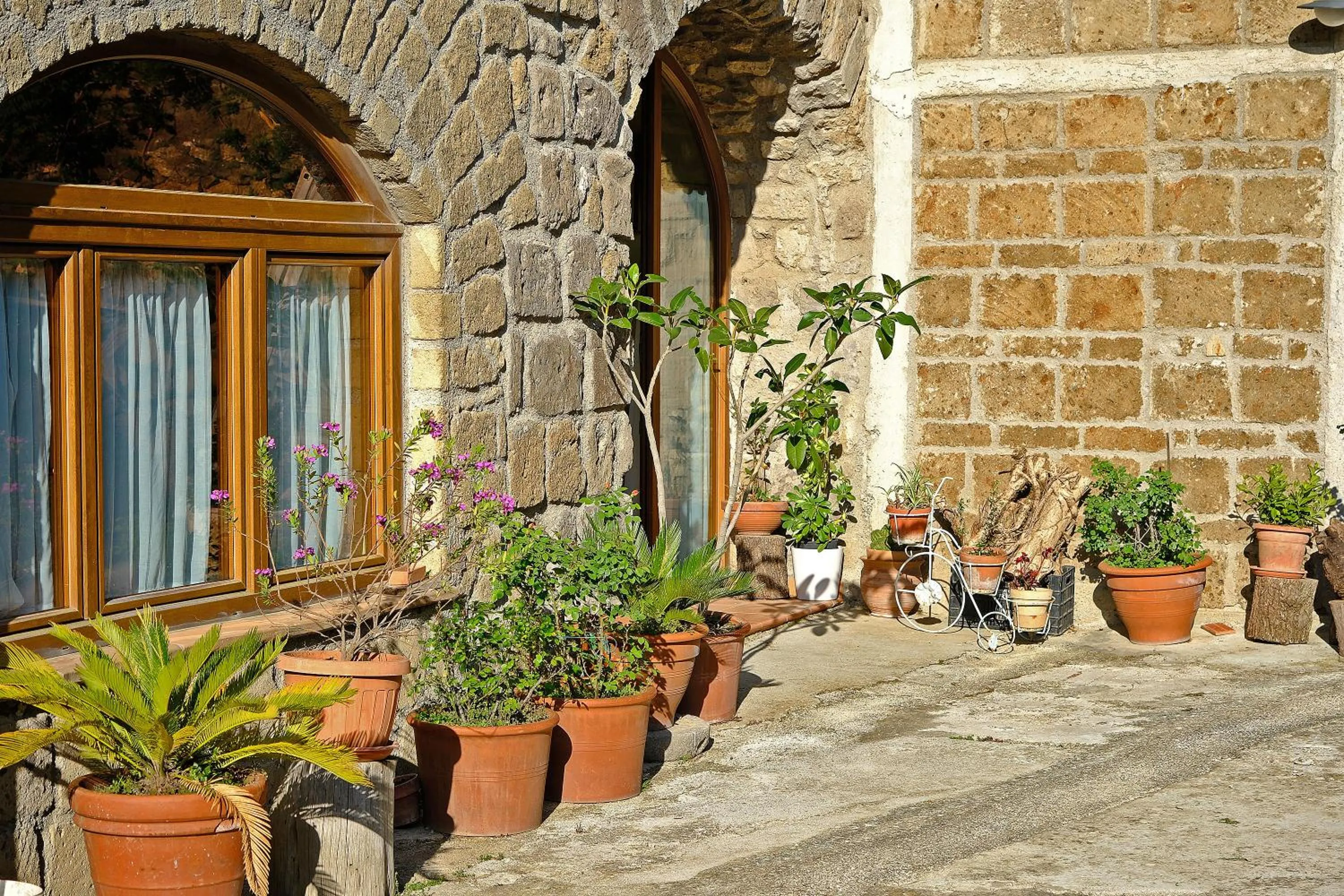 Garden in Conte Spencer