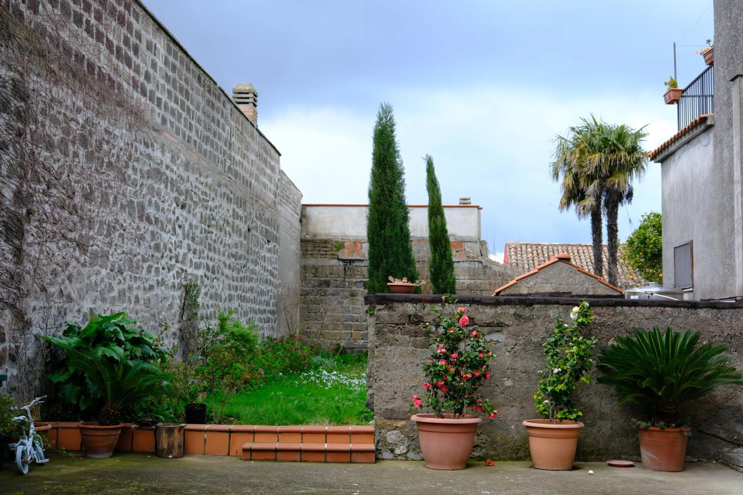 Garden in Conte Spencer