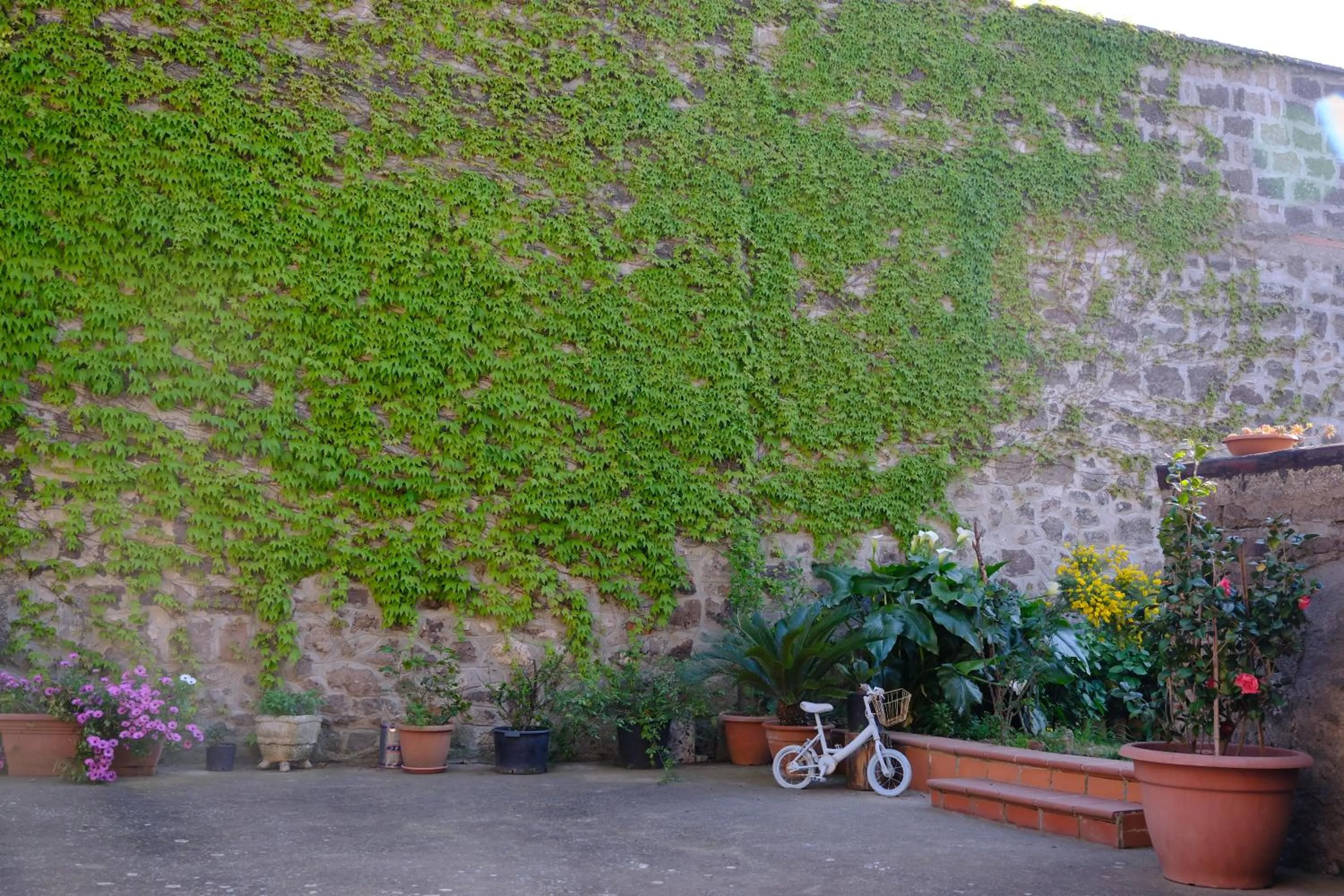 Garden in Conte Spencer