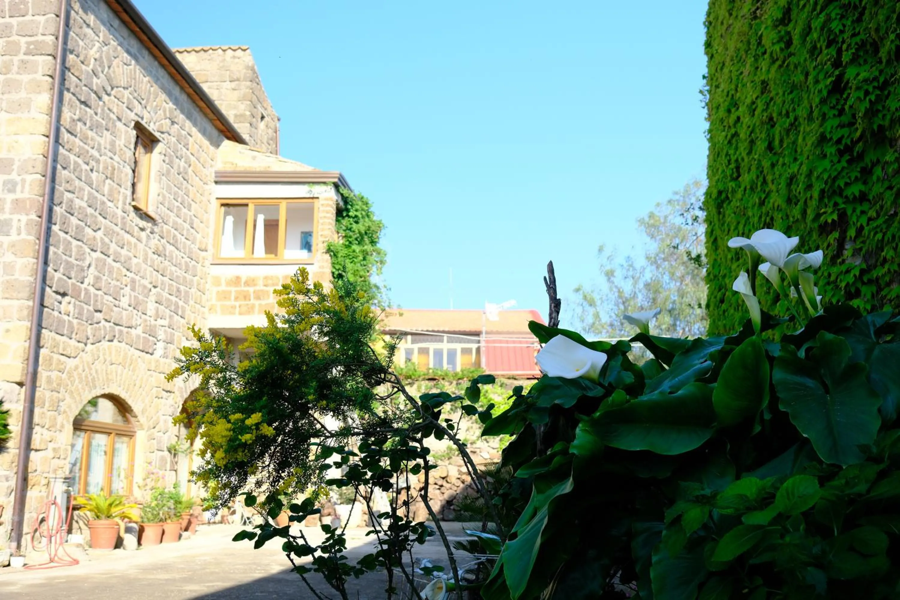 Garden in Conte Spencer