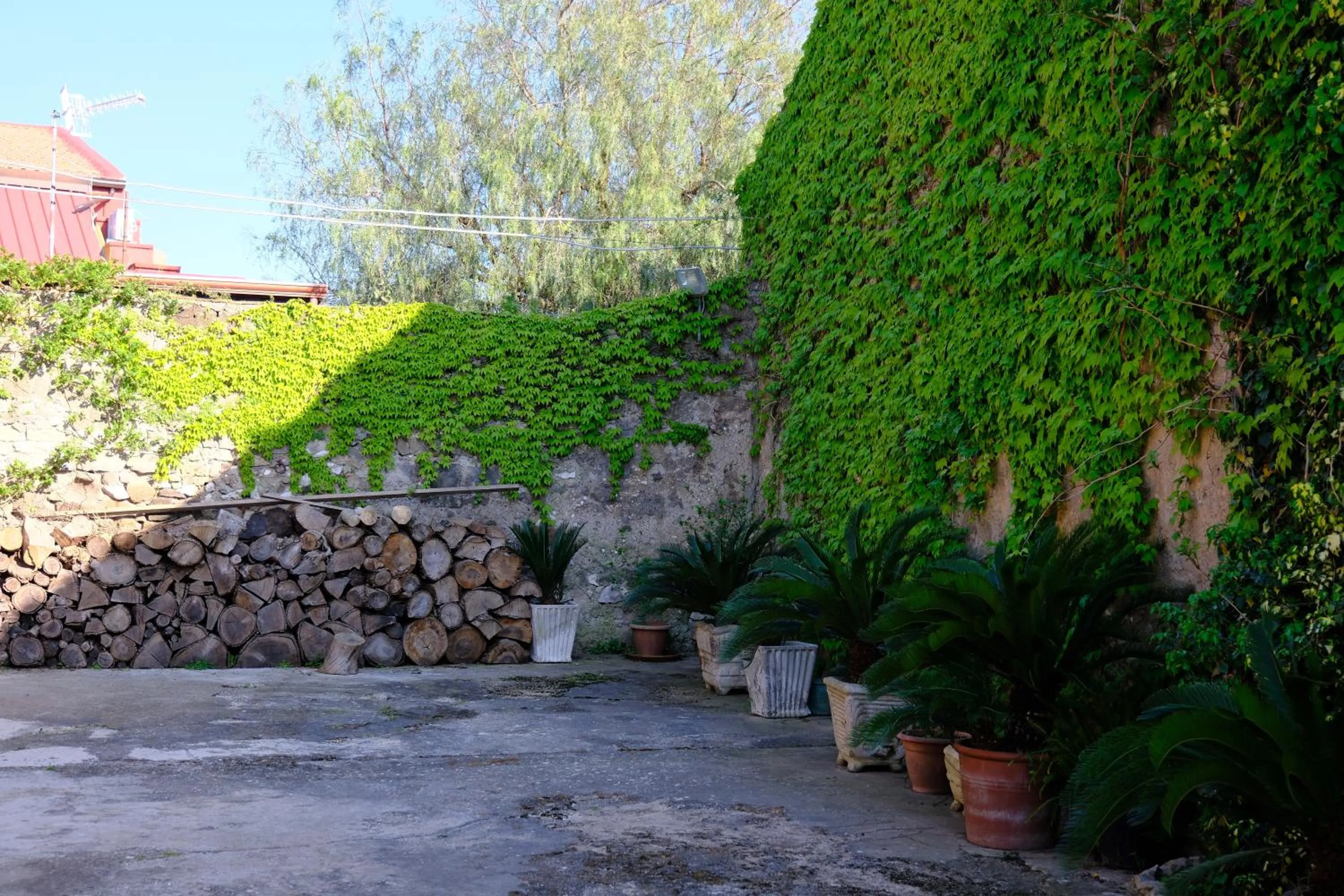 Garden in Conte Spencer