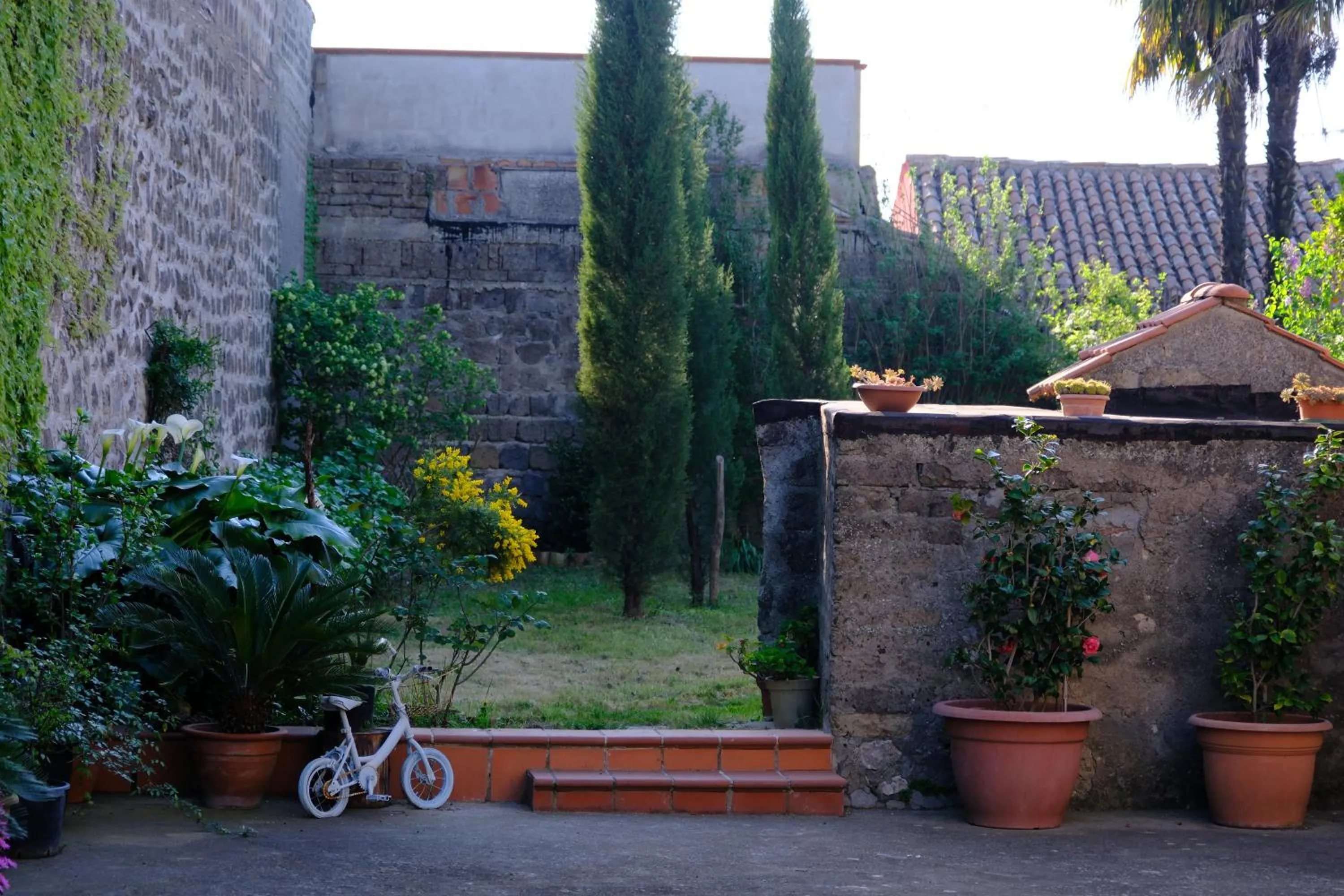 Garden in Conte Spencer