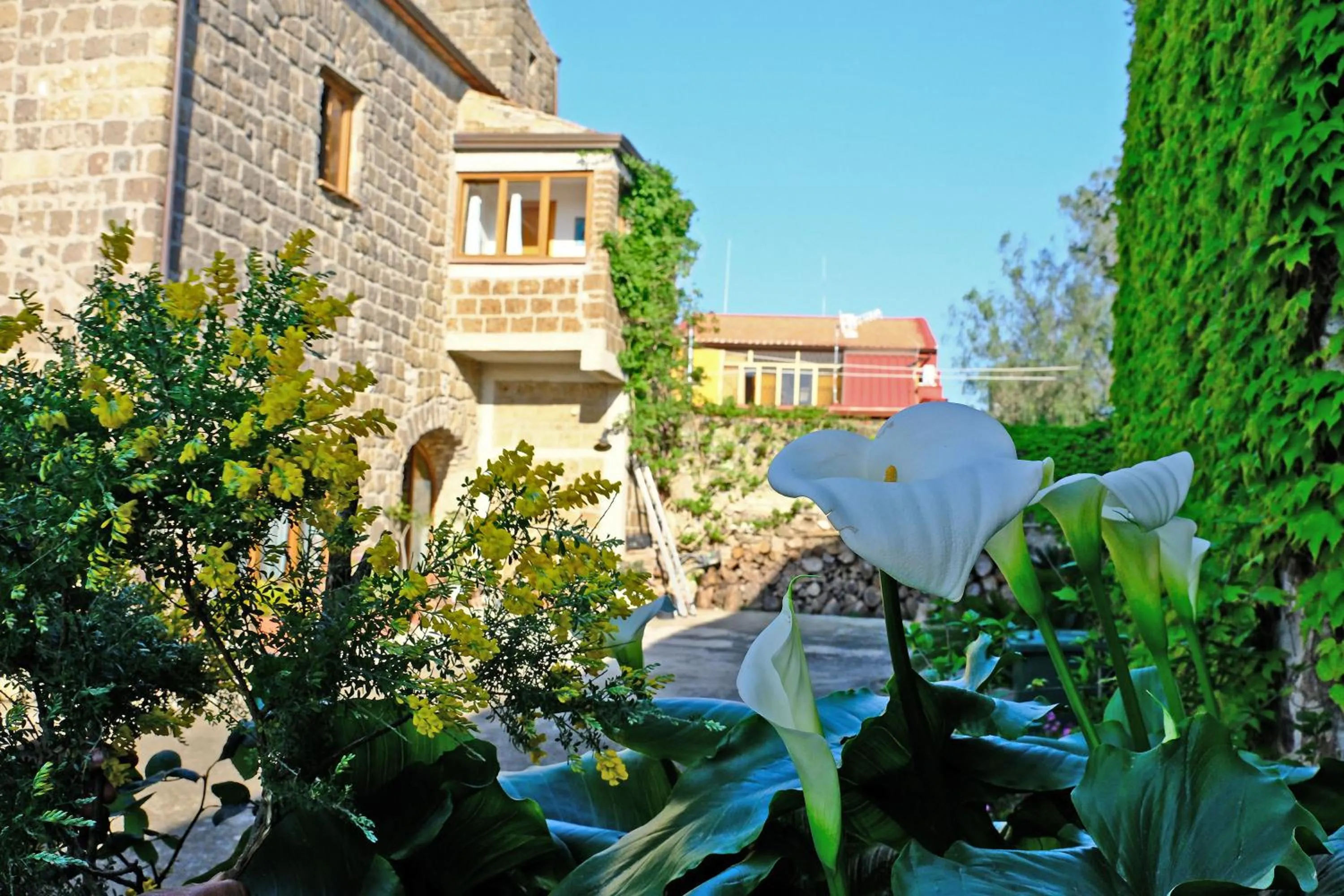 Garden in Conte Spencer
