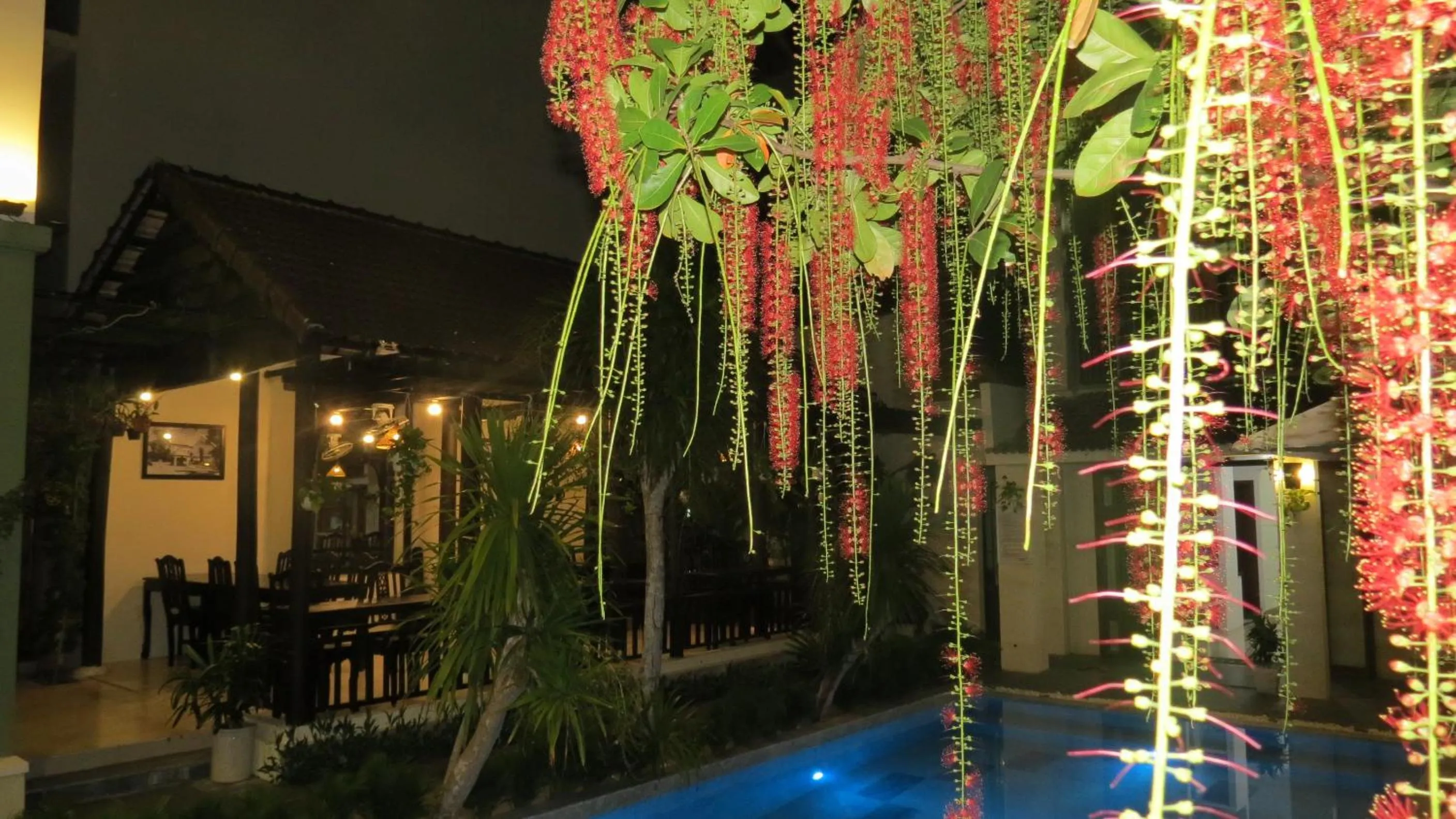 Night in Starfruit villa Hoi An