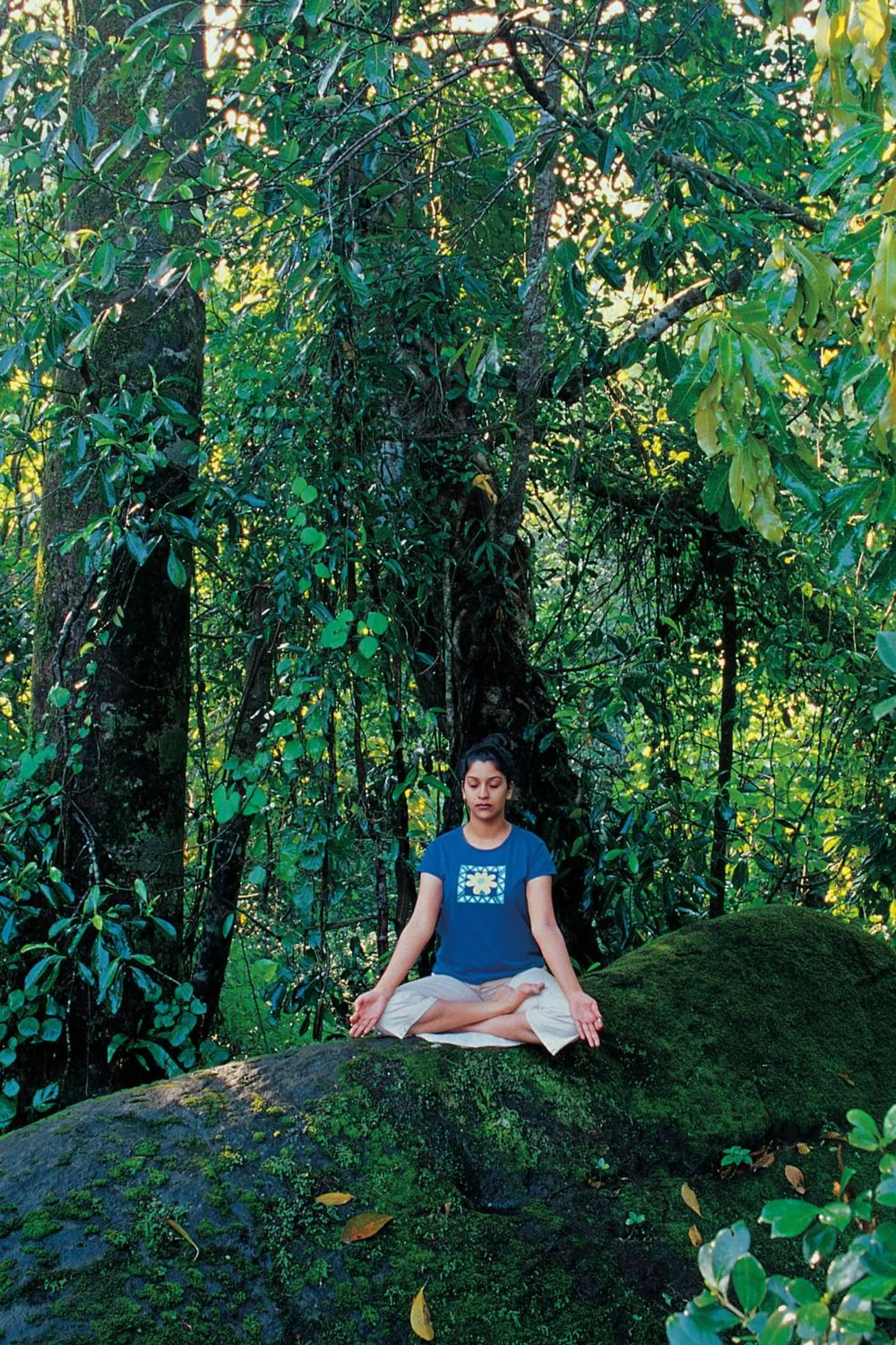 Guests in Vythiri Resort