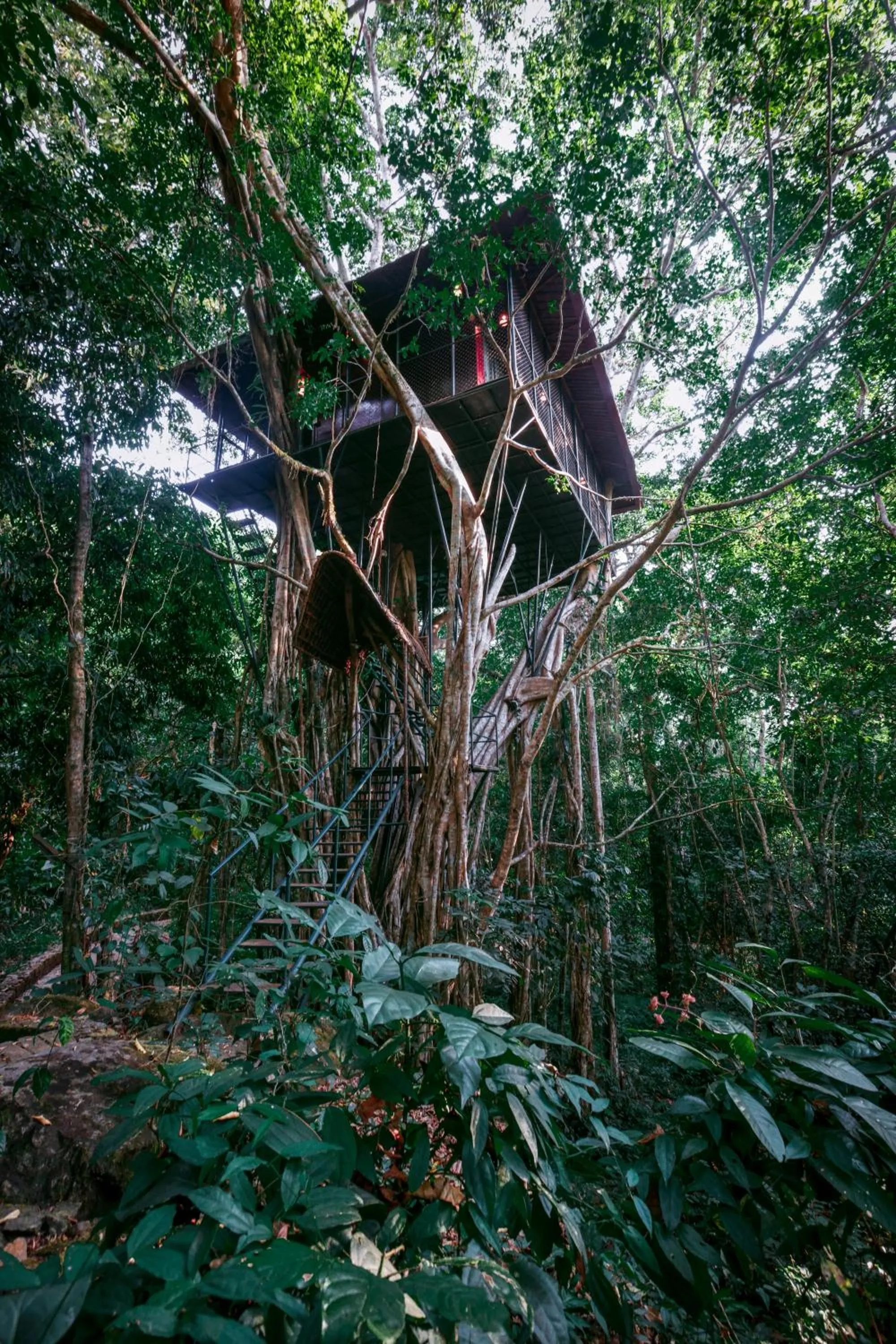 Street view in Vythiri Resort