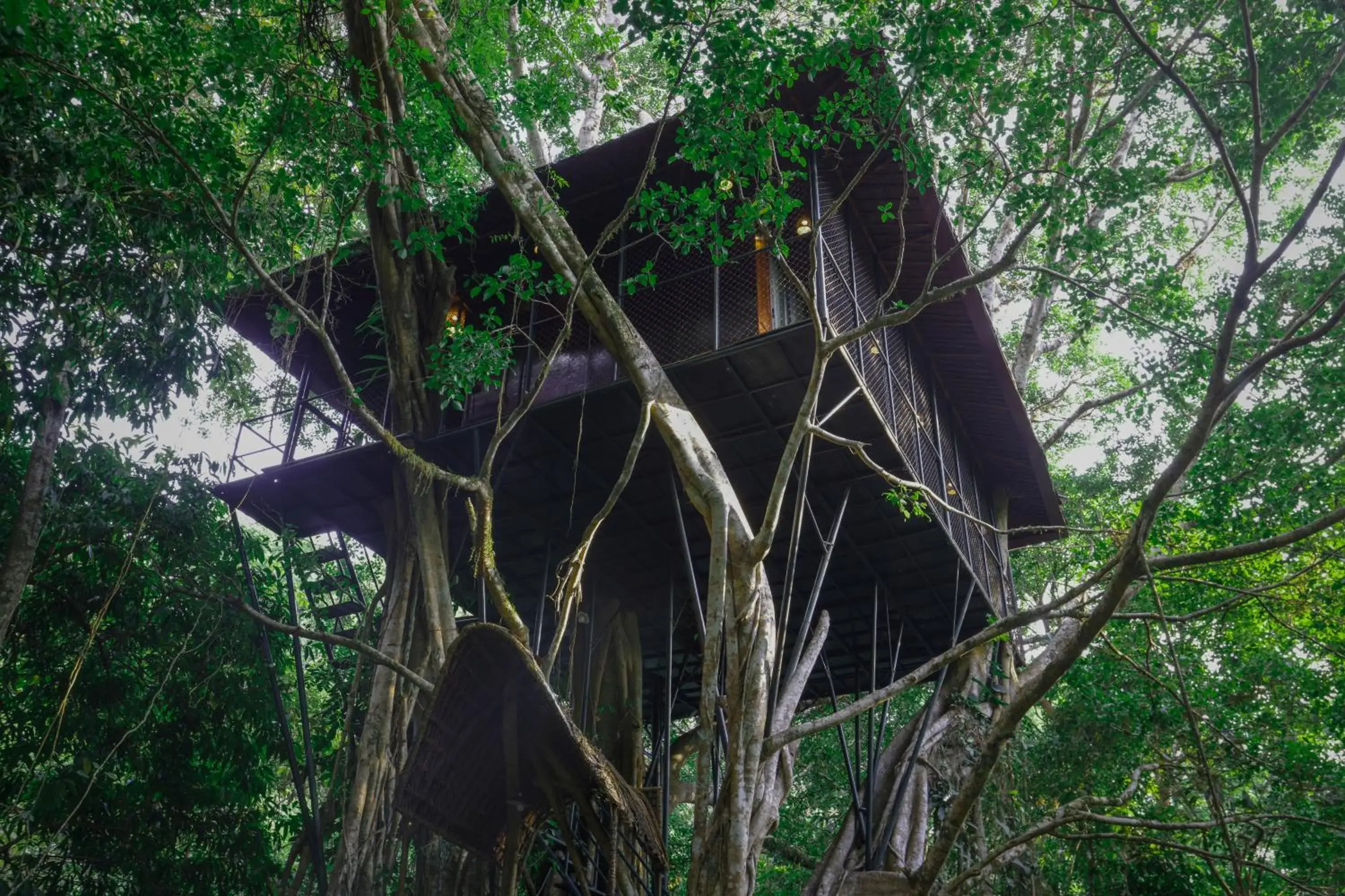 View (from property/room) in Vythiri Resort View (from property/room) in Vythiri Resort