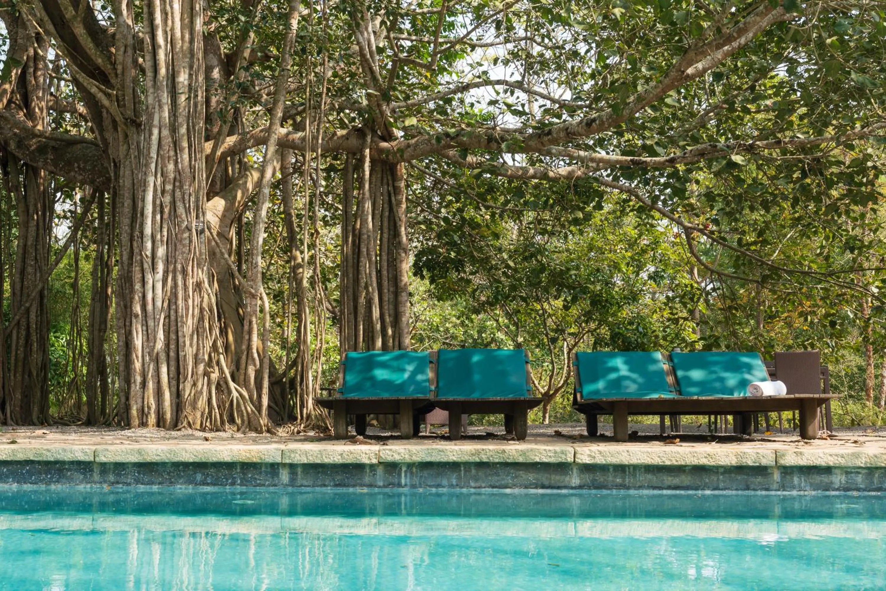 Swimming pool in Kaav Safari Lodge, Kabini