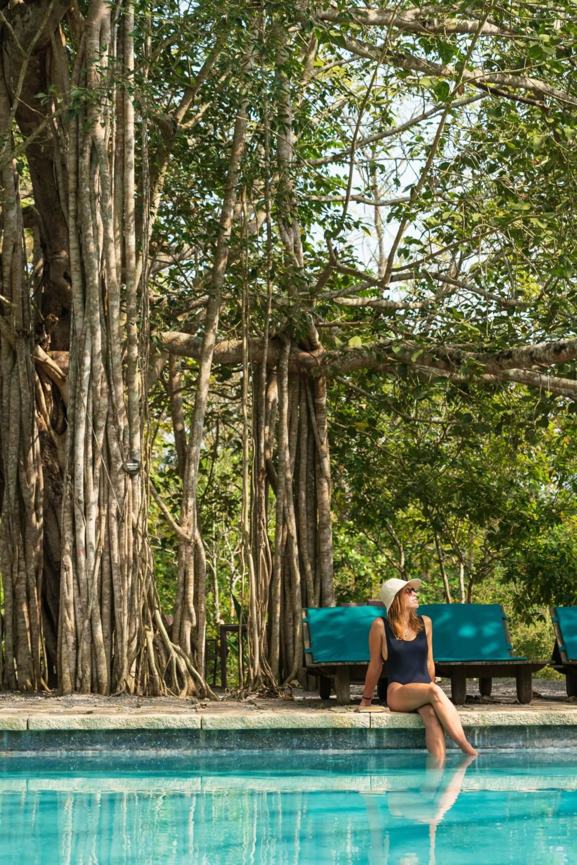 Swimming pool in Kaav Safari Lodge, Kabini