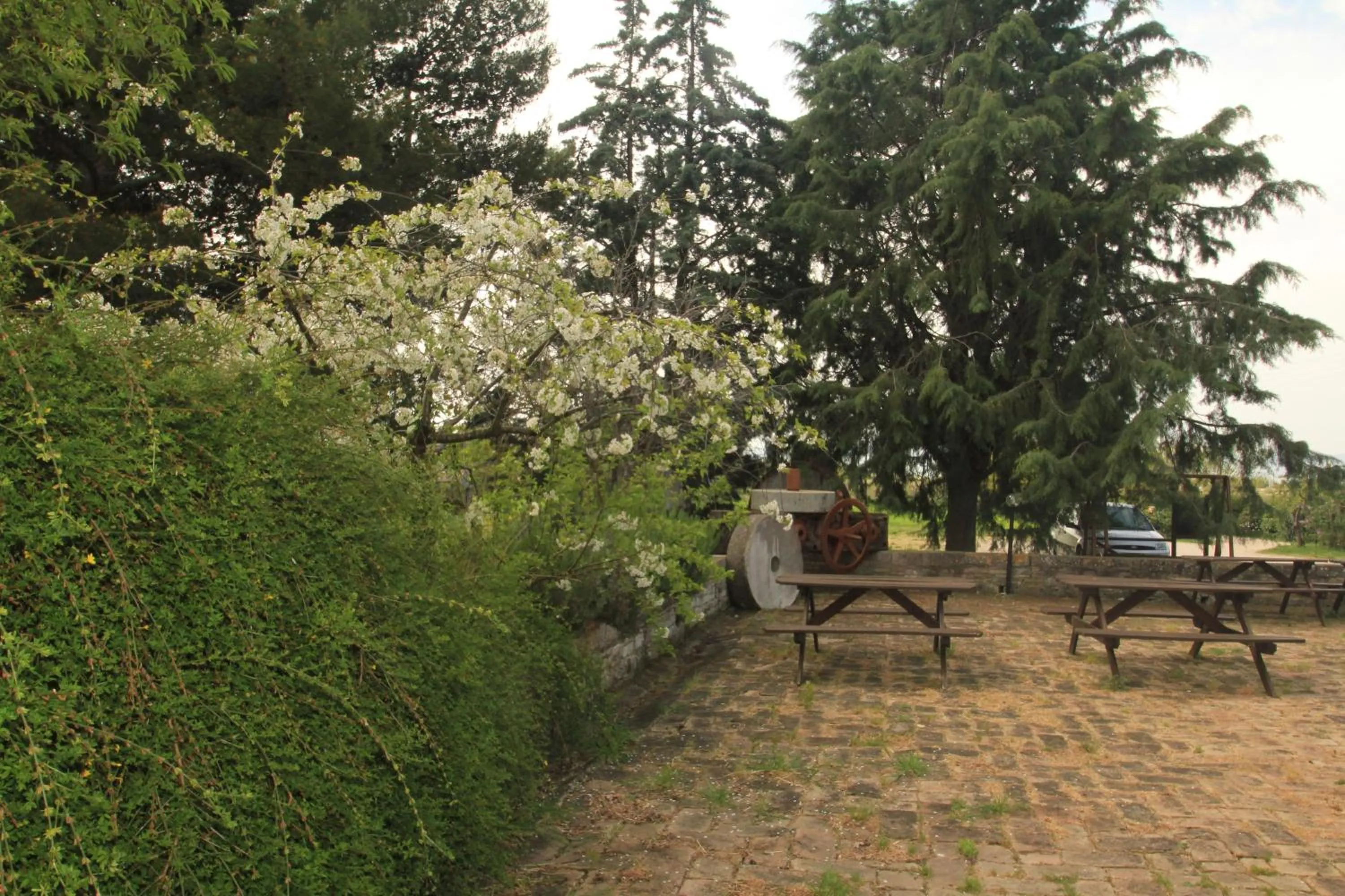 Garden in Hotel La Quiete