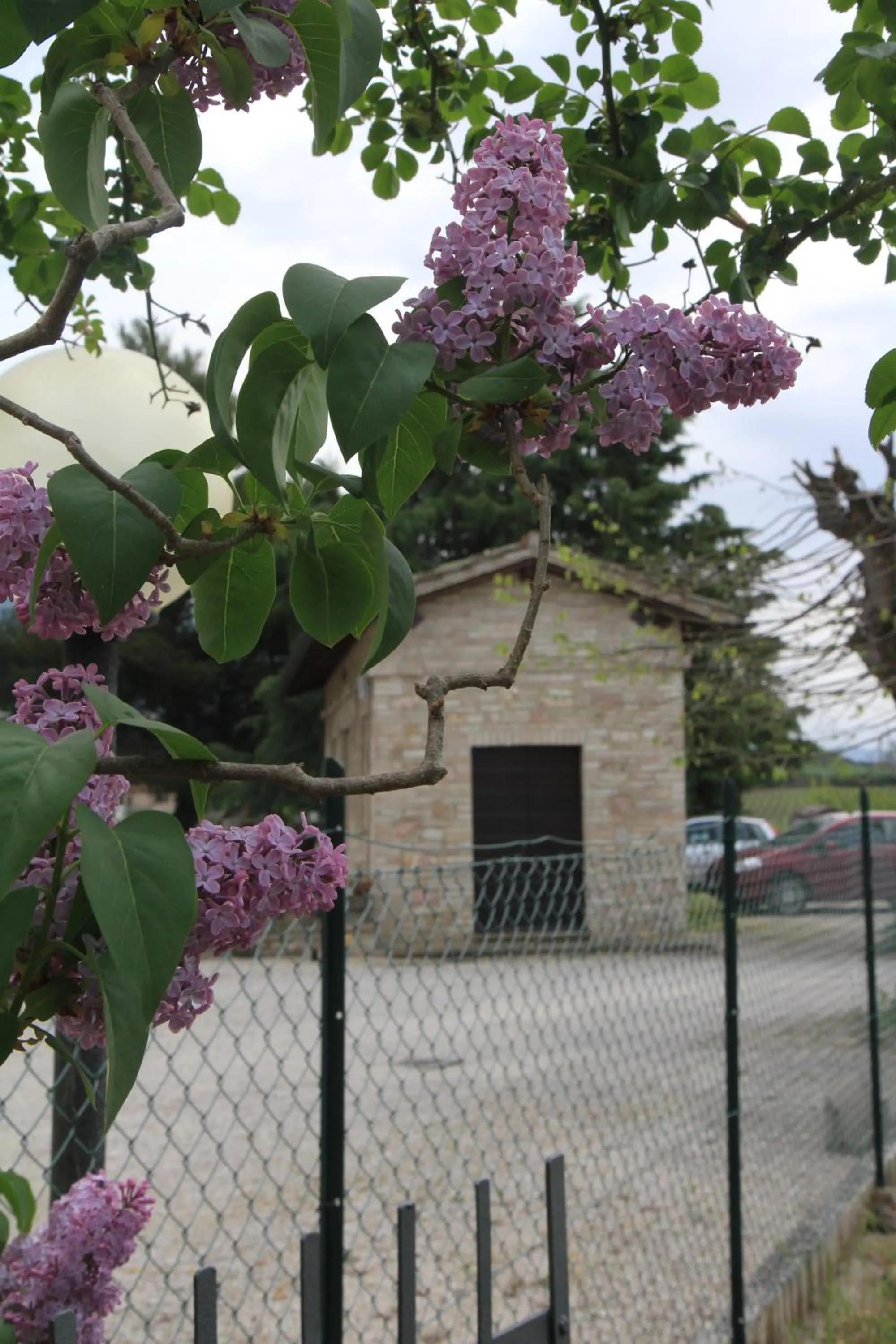 Facade/entrance in Hotel La Quiete