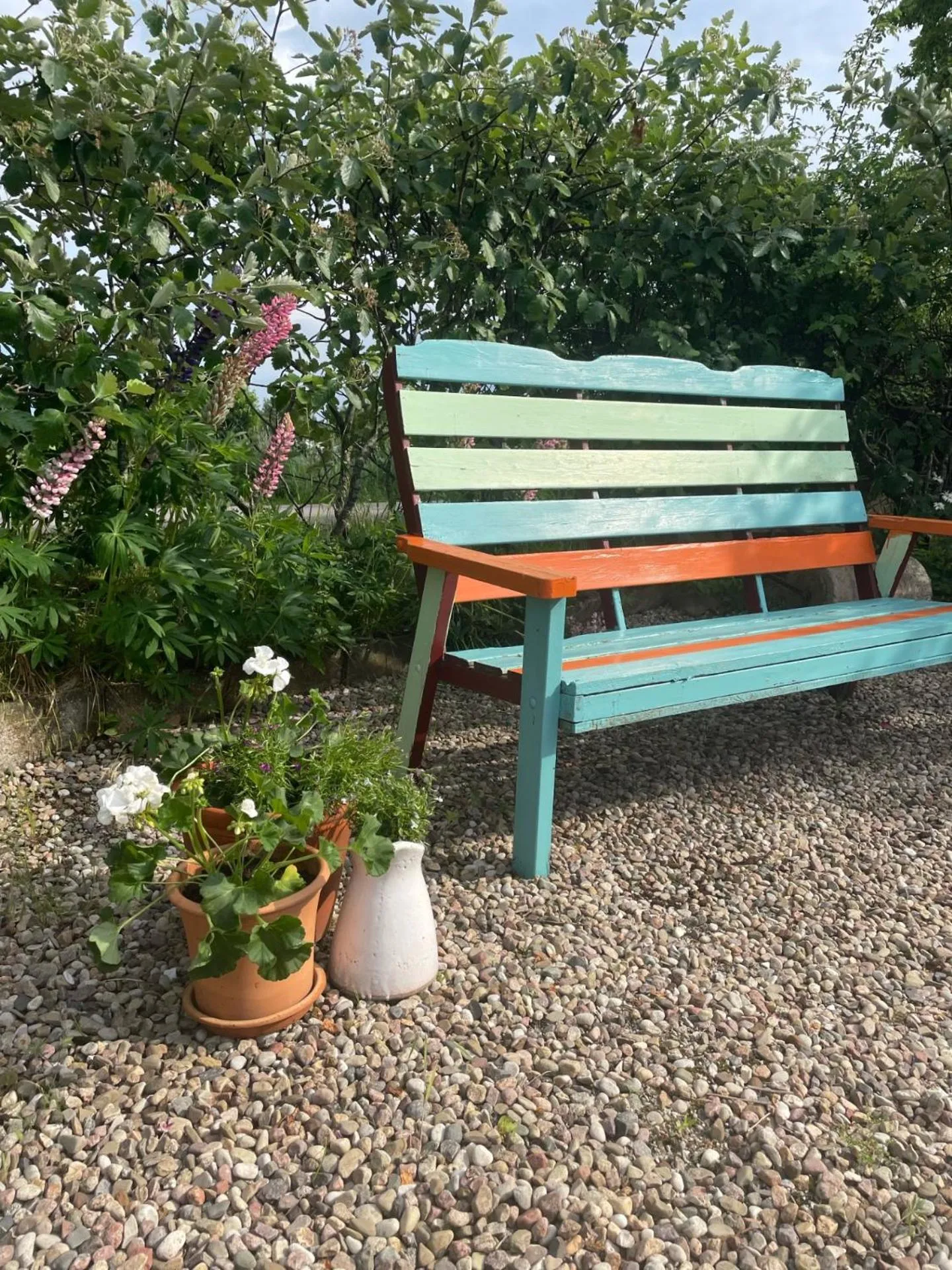 Garden in Trennegården B&B