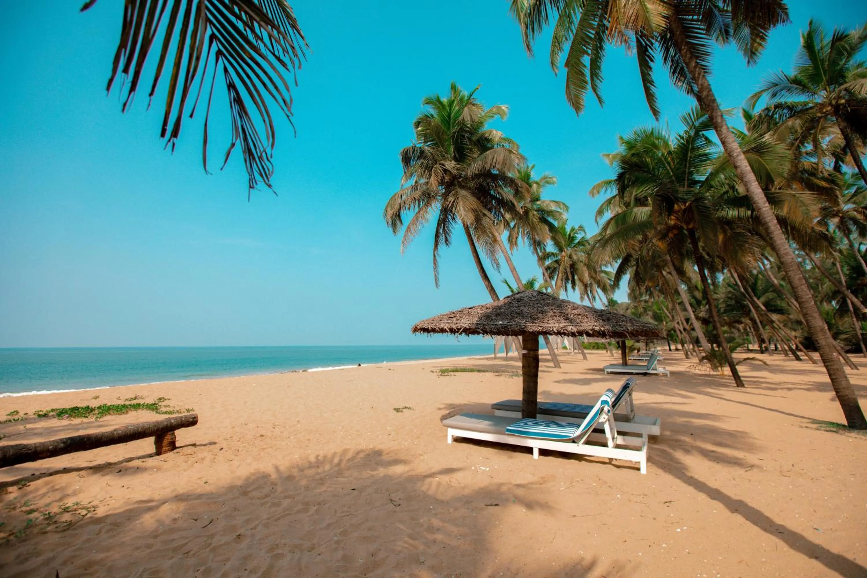 Beach in Malabar Ocean Front Resort And Spa, Bekal