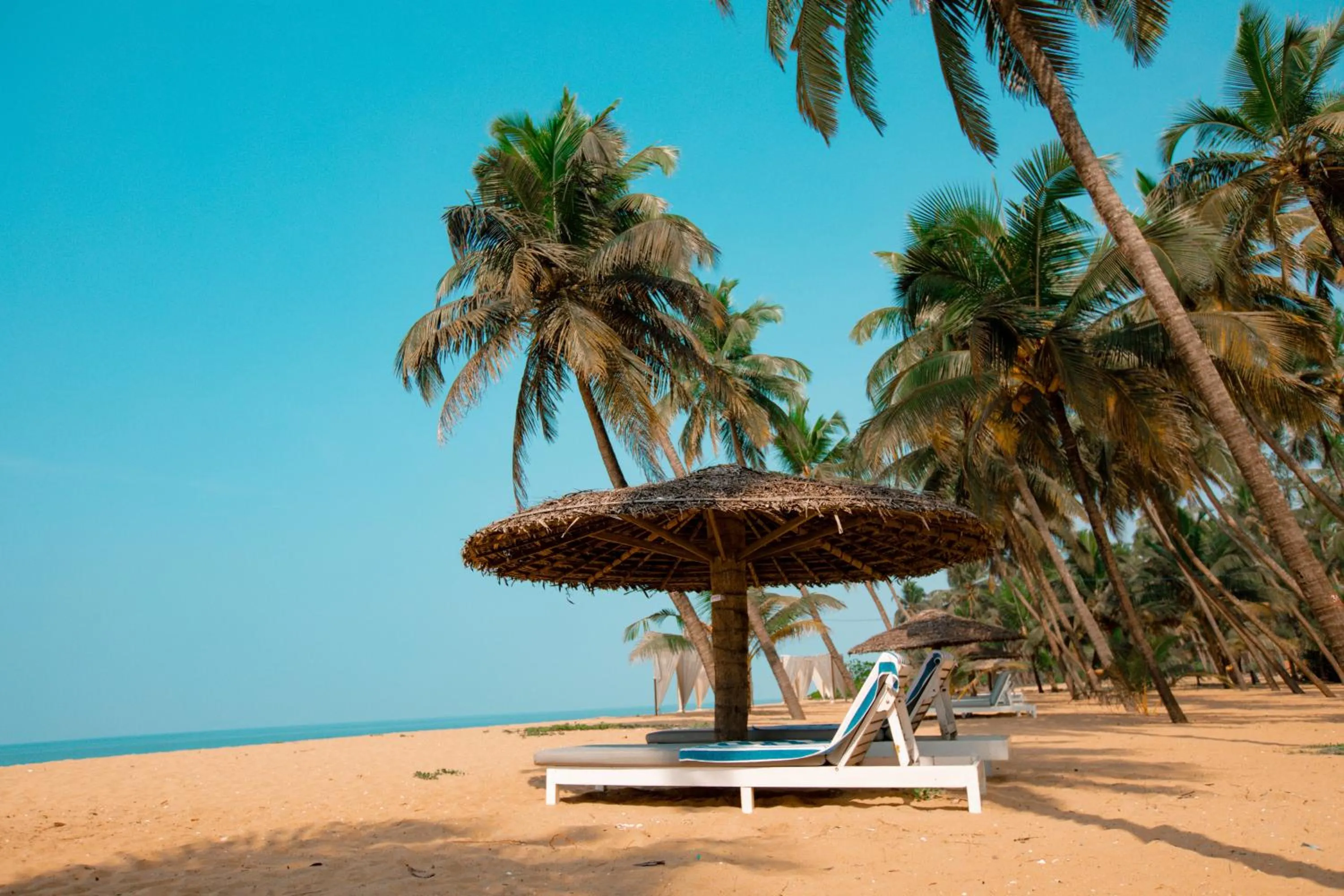 Beach in Malabar Ocean Front Resort And Spa, Bekal