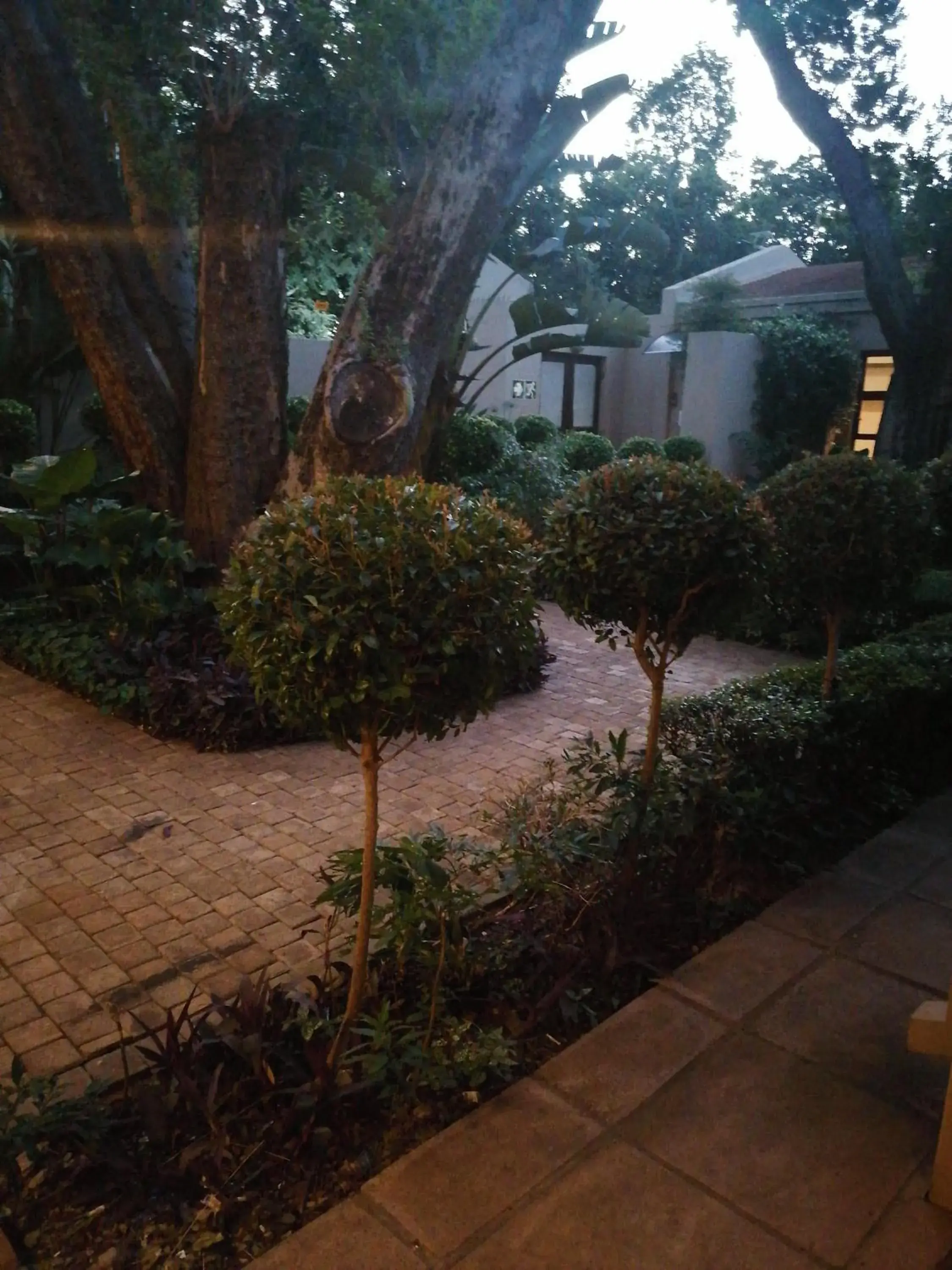 Double Room with Garden View - single occupancy in 180 On Anderson Guest House Double Room with Garden View - single occupancy in 180 On Anderson Guest House