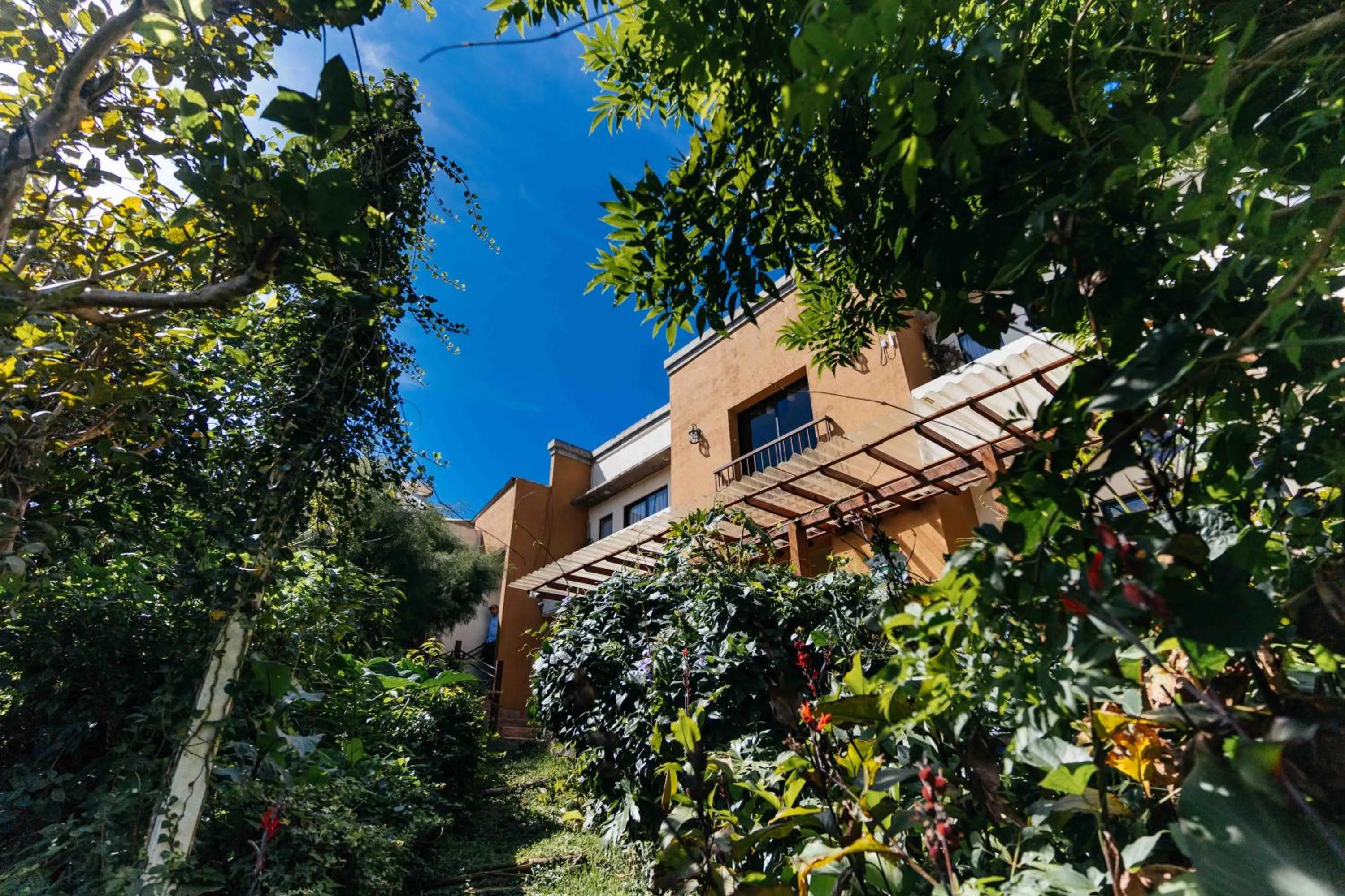 Garden in Casa 1800 Ataco Hotel Boutique