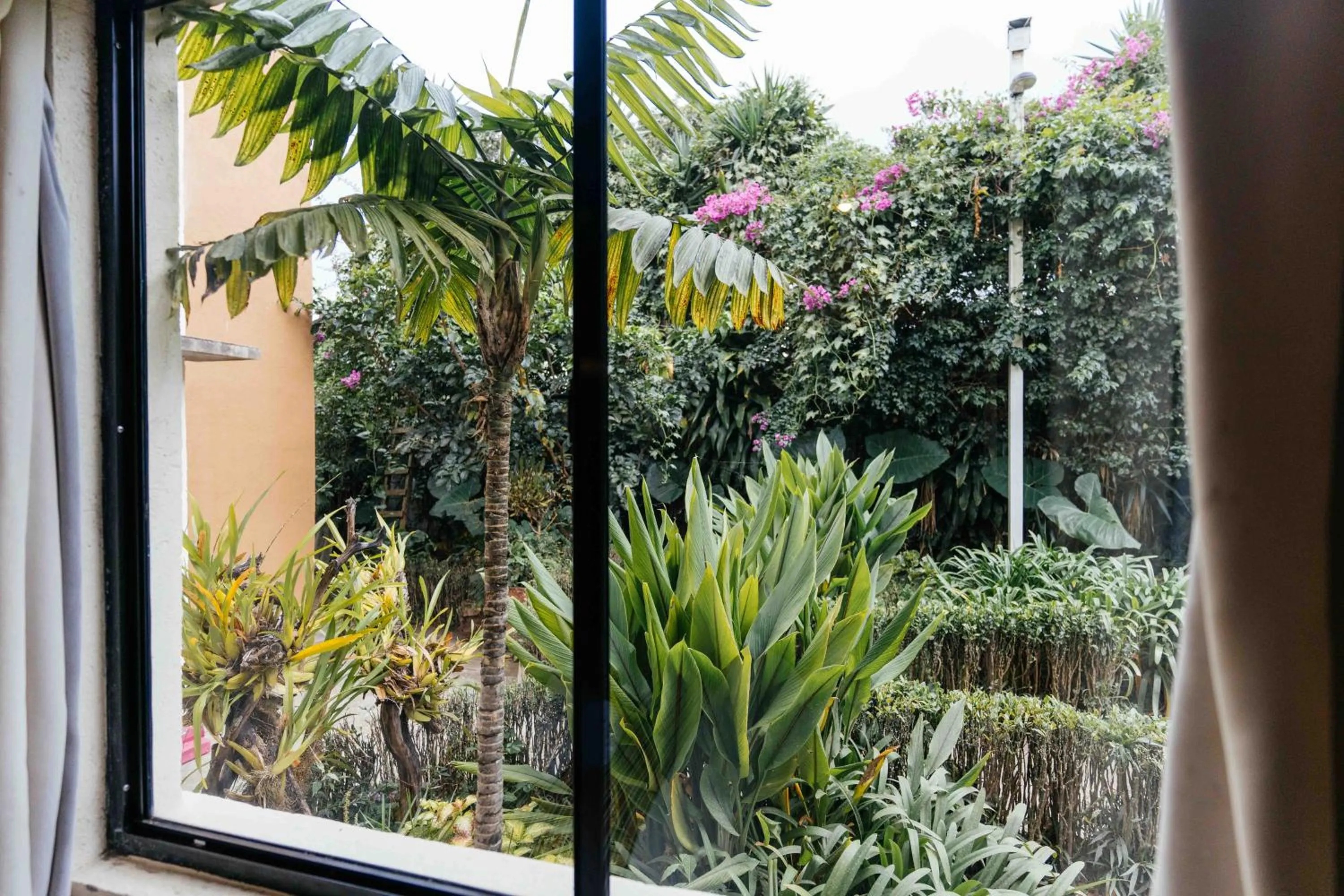 Garden view in Casa 1800 Ataco Hotel Boutique