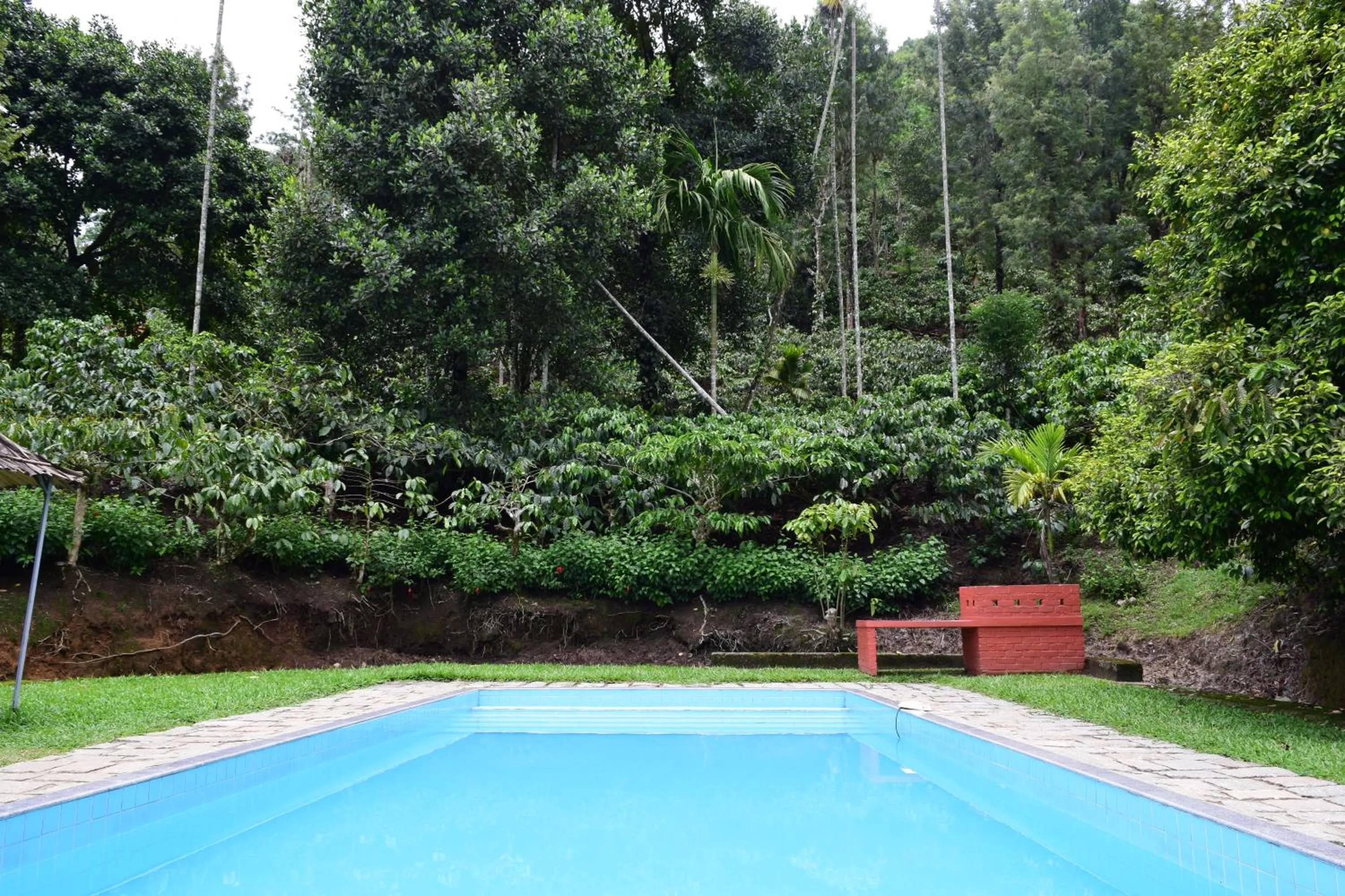 Swimming pool in Avadale Wayanad - Stag Groups Not Allowed
