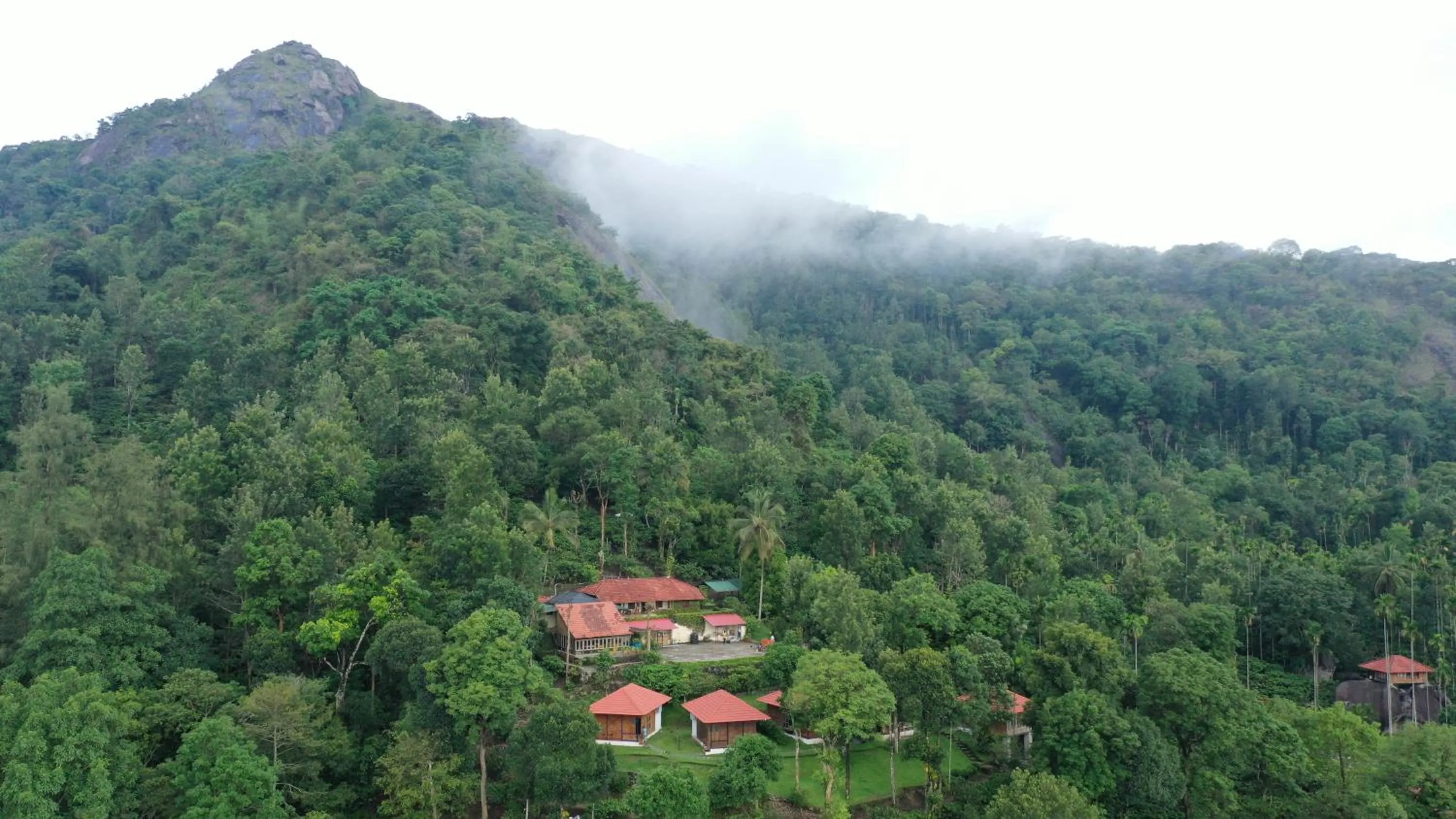 Property building in Avadale Wayanad - Stag Groups Not Allowed