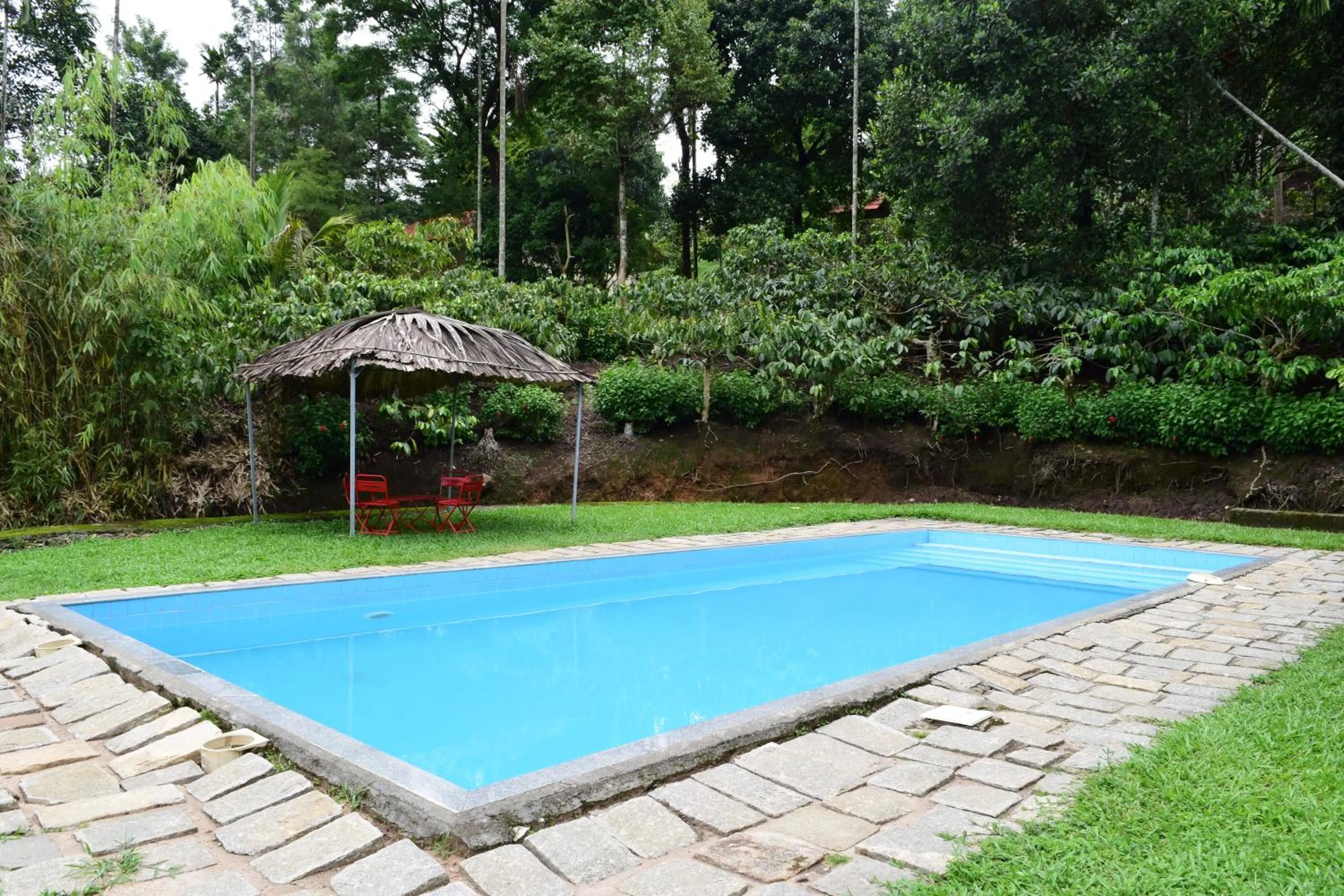 Swimming pool in Avadale Wayanad - Stag Groups Not Allowed