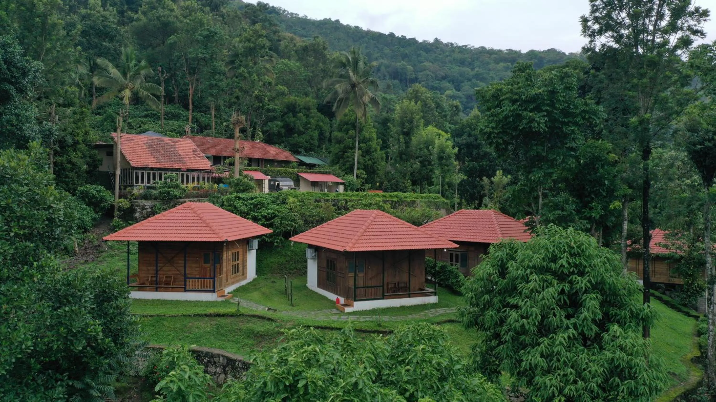 Property building in Avadale Wayanad - Stag Groups Not Allowed