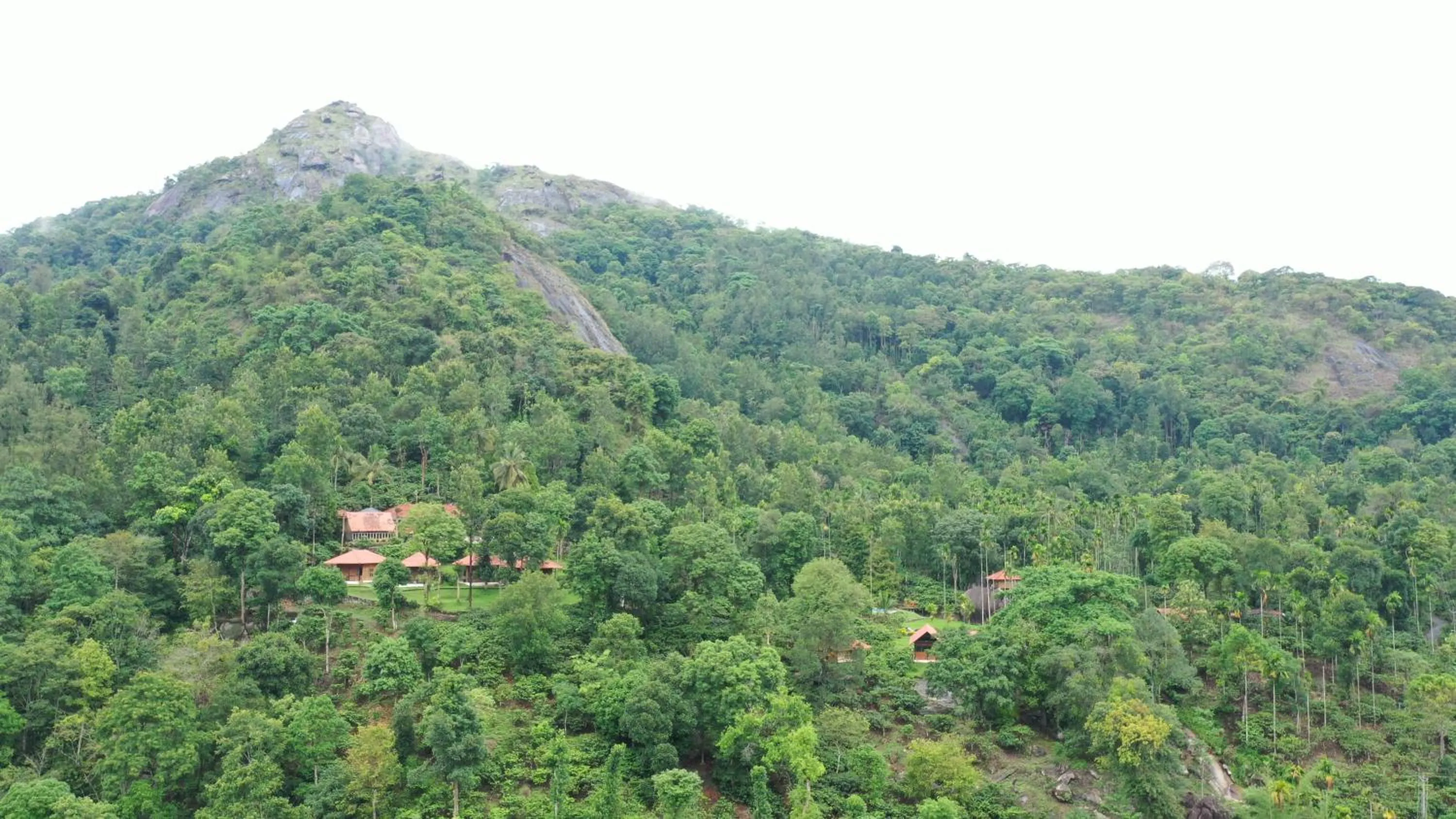 Natural landscape in Avadale Wayanad - Stag Groups Not Allowed