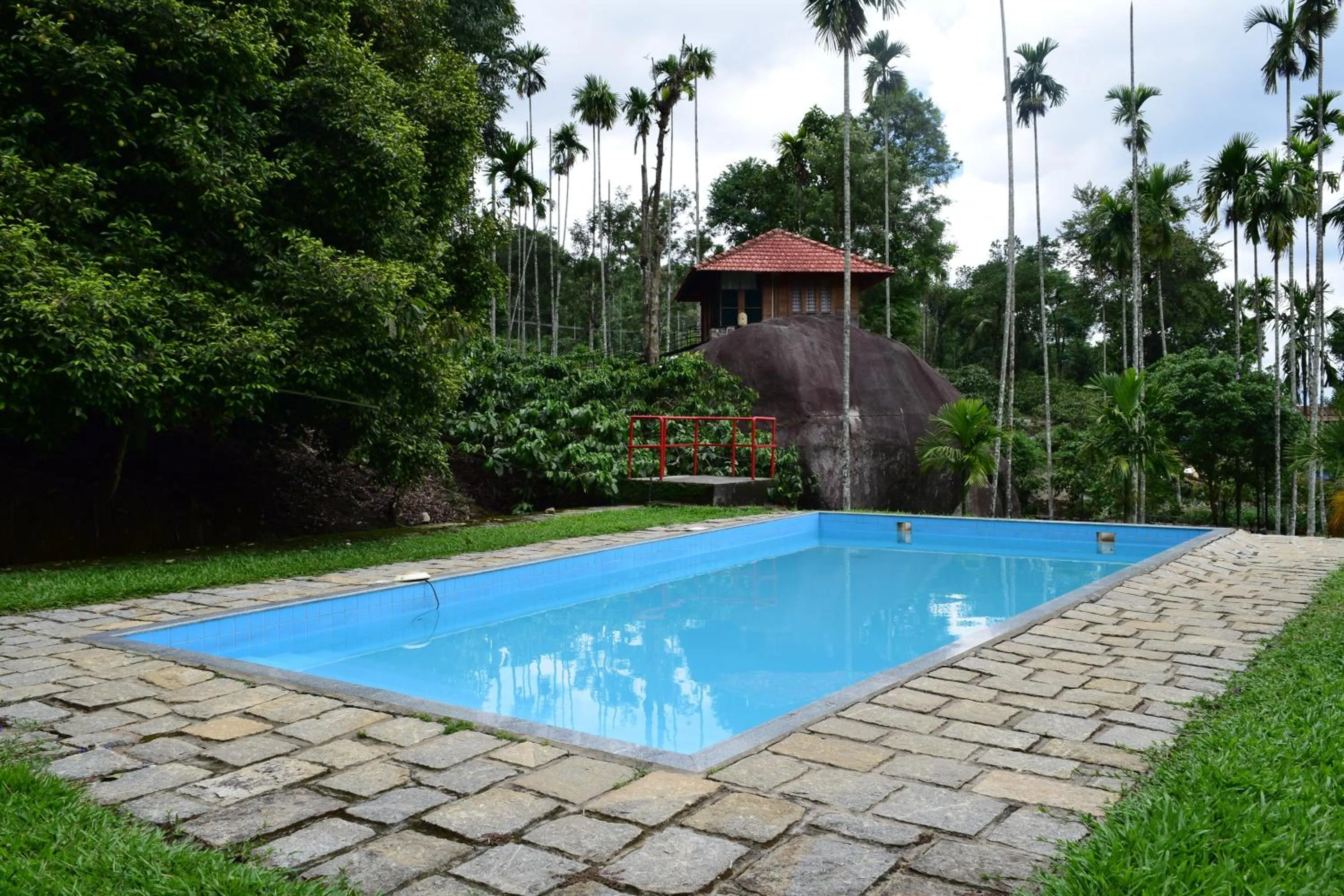 Swimming pool in Avadale Wayanad - Stag Groups Not Allowed
