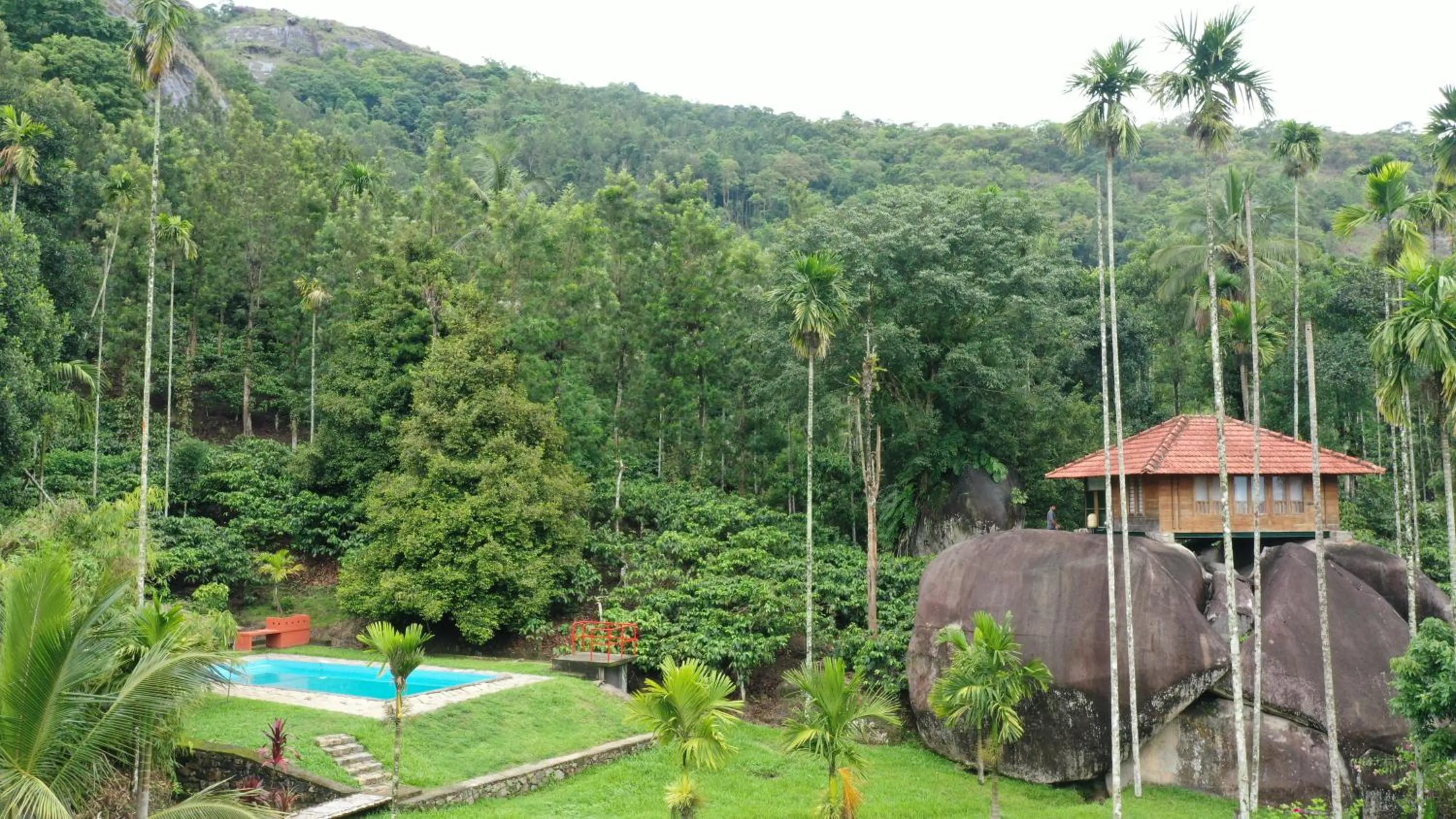 Property building in Avadale Wayanad - Stag Groups Not Allowed