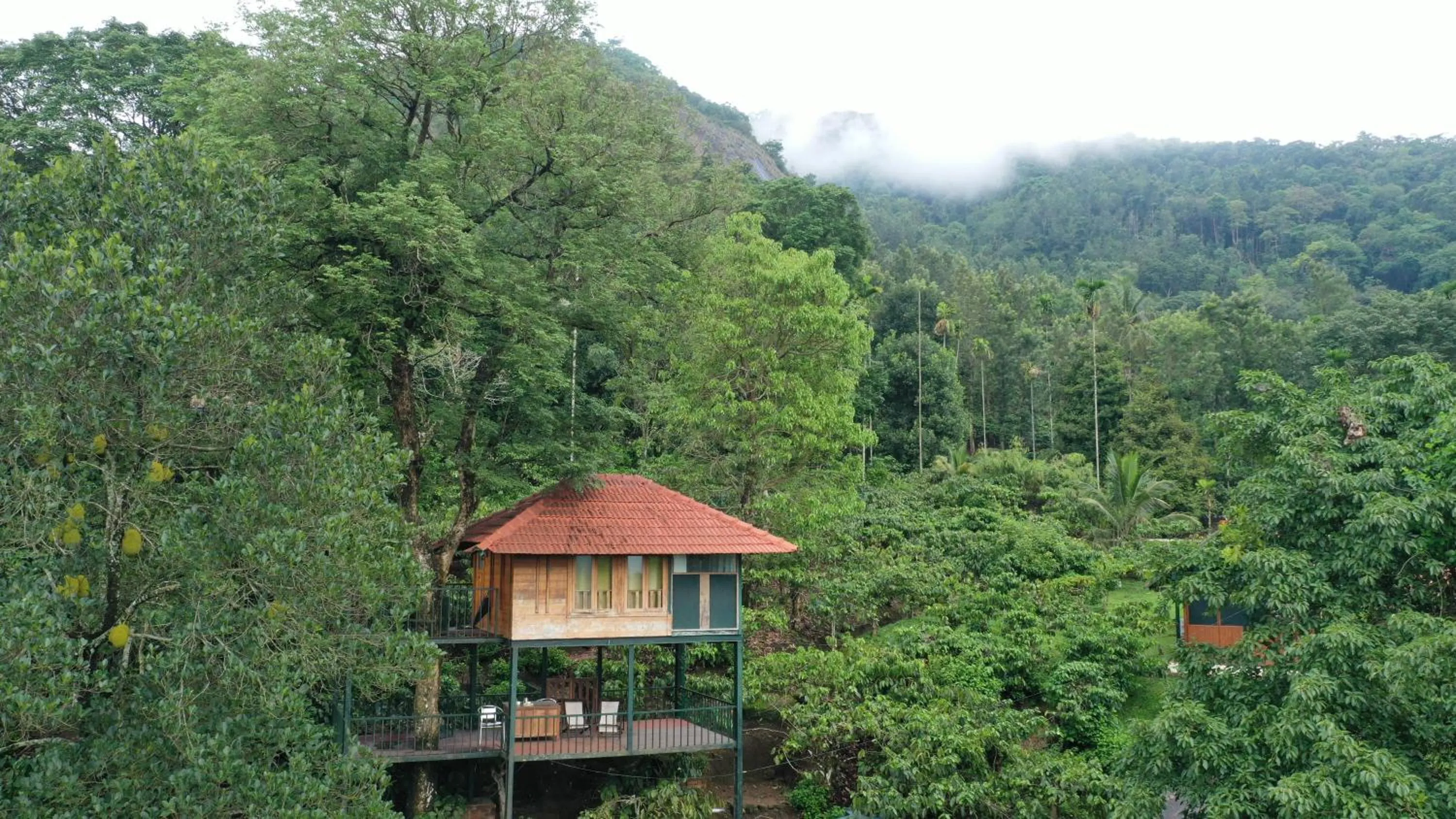 Property building in Avadale Wayanad - Stag Groups Not Allowed
