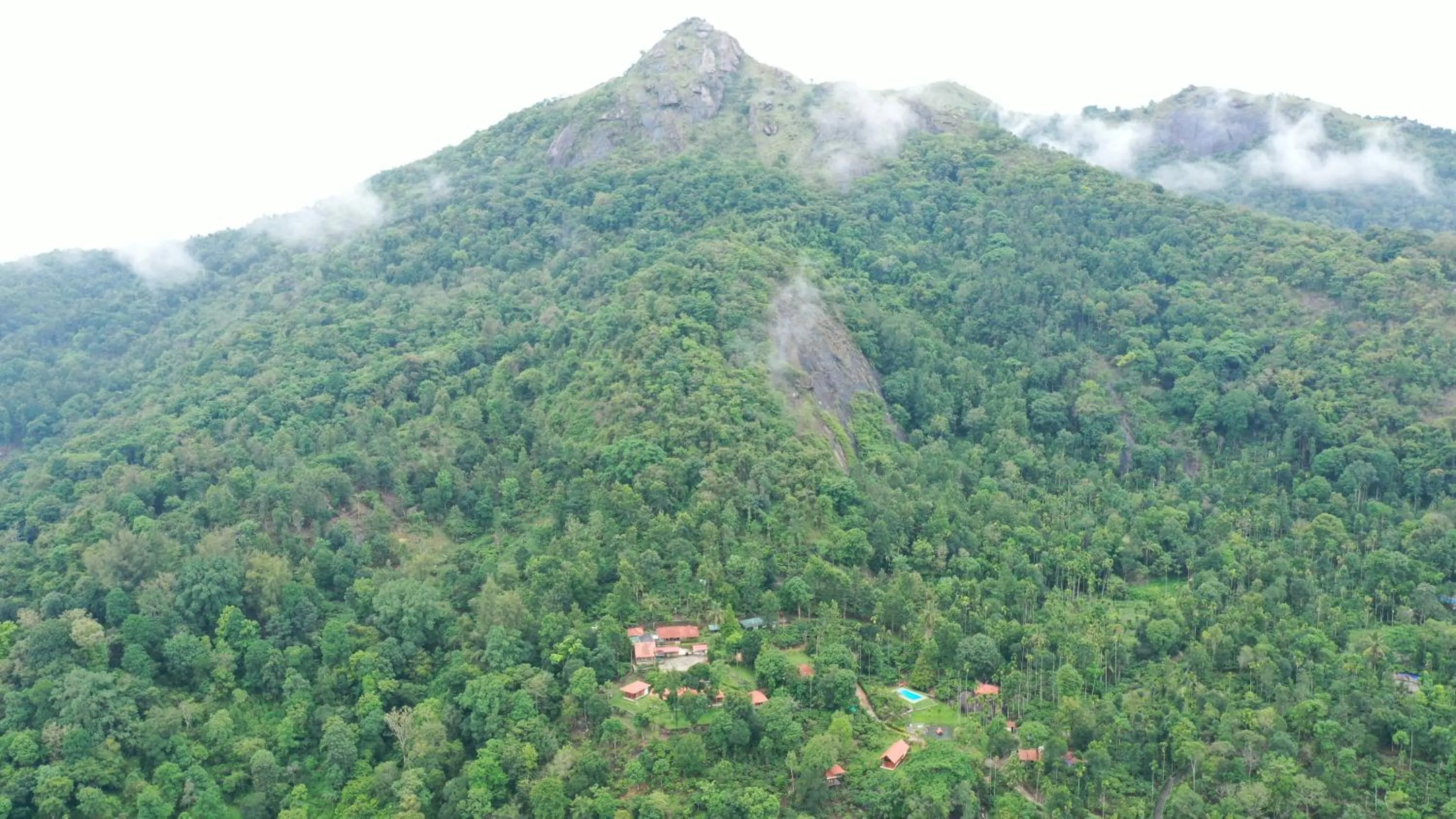 Natural landscape in Avadale Wayanad - Stag Groups Not Allowed