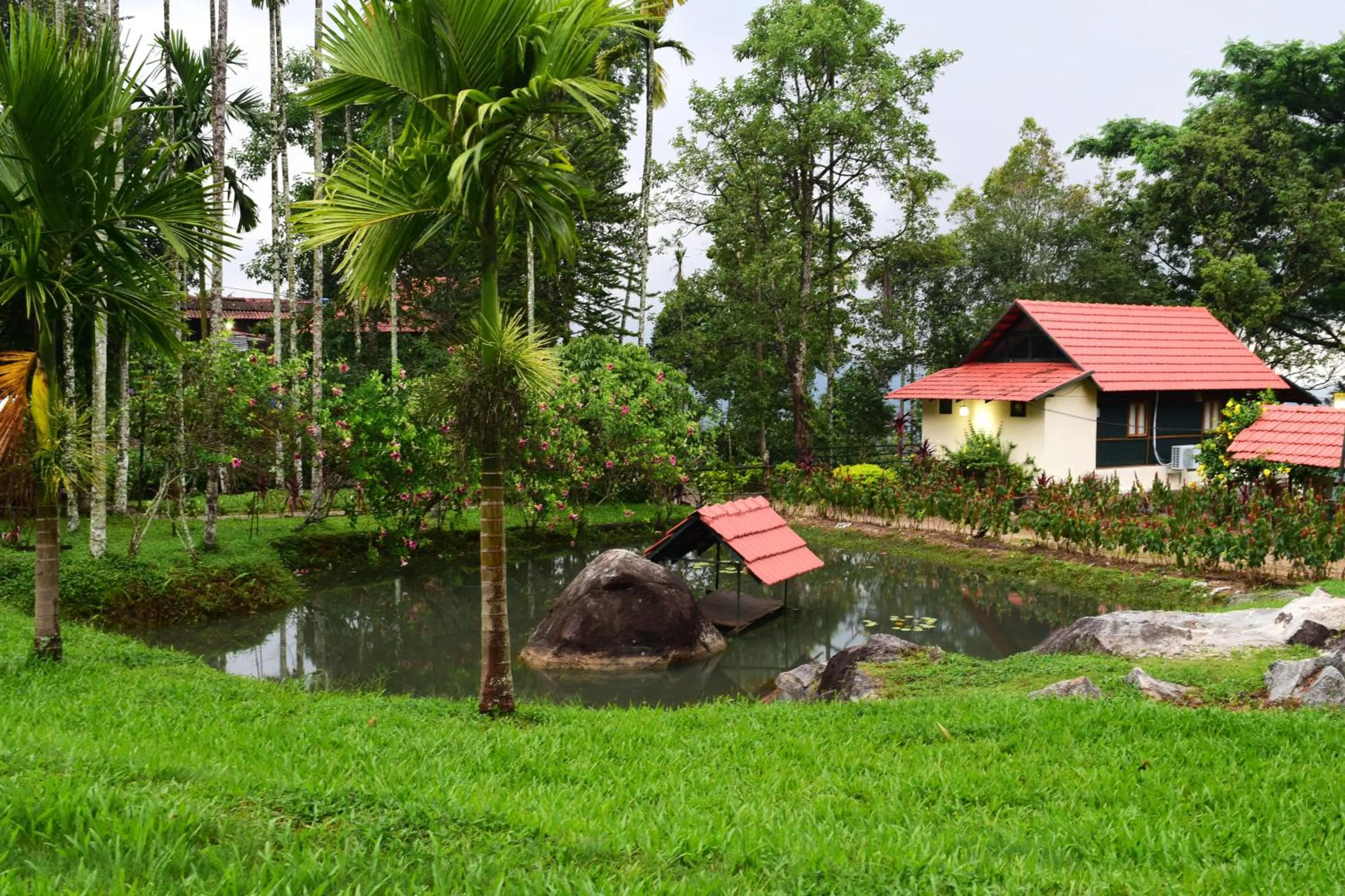 Natural landscape in Avadale Wayanad - Stag Groups Not Allowed