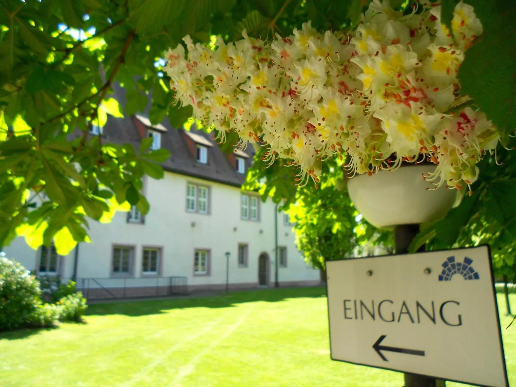 Facade/entrance in Bildungshaus Neckarelz