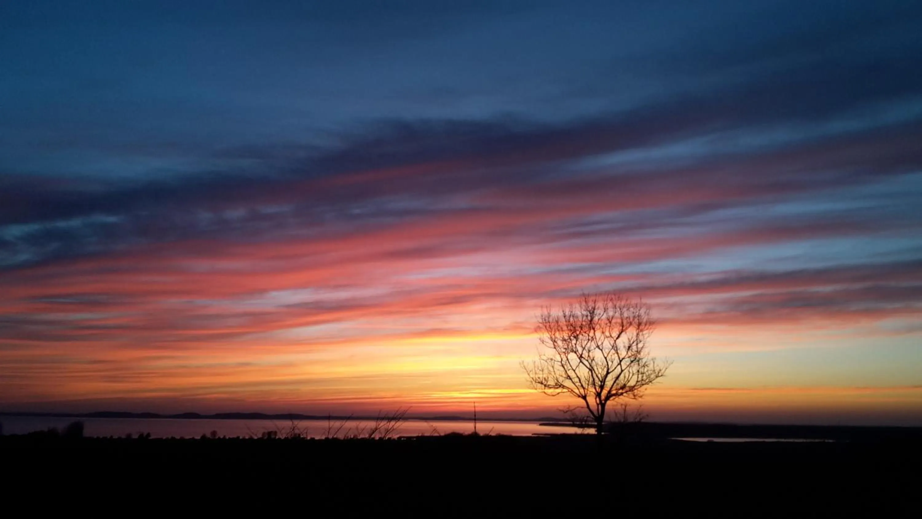 Area and facilities in Hotel Garni Meeresblick