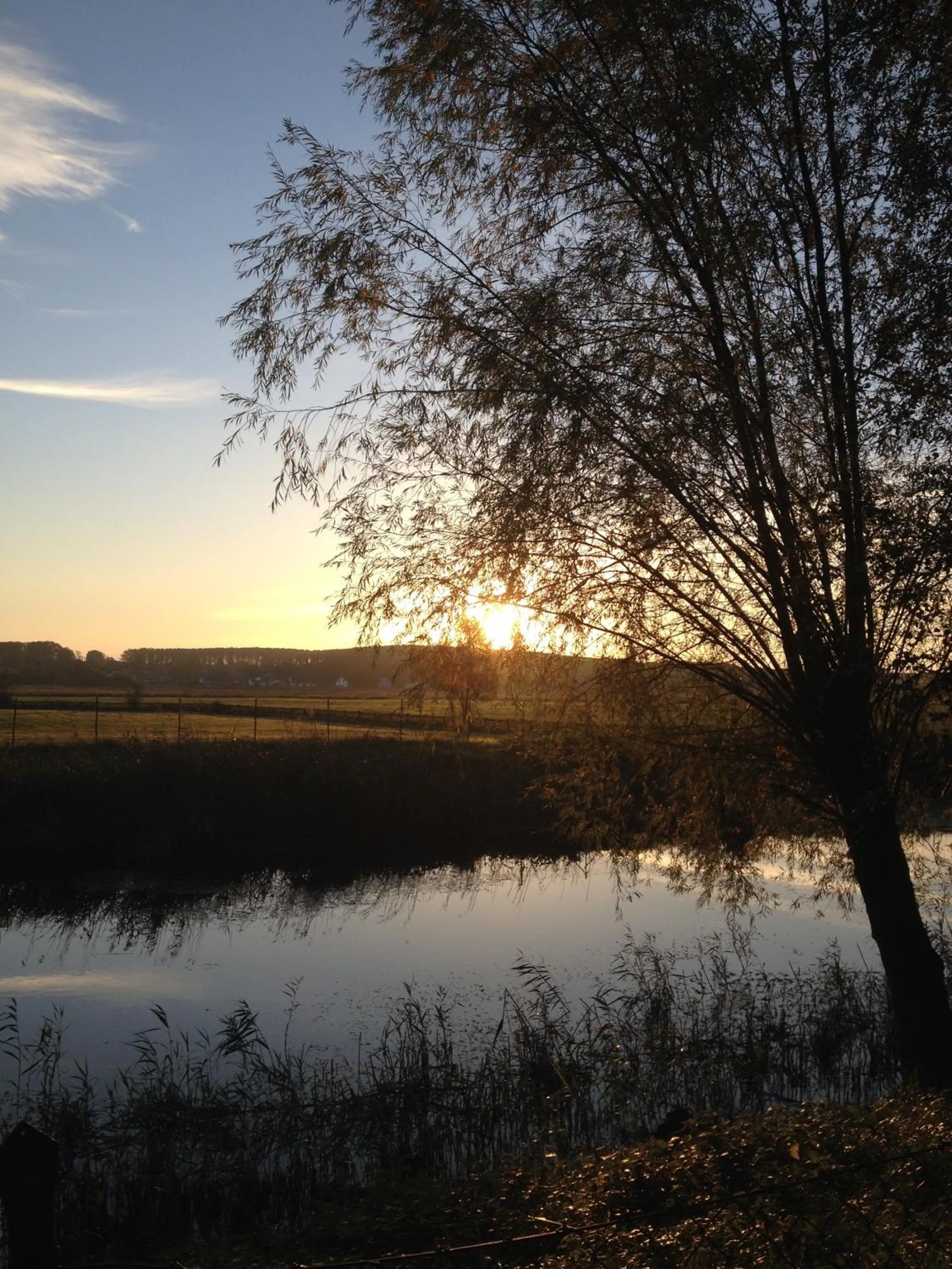 Area and facilities in Hotel Garni Meeresblick