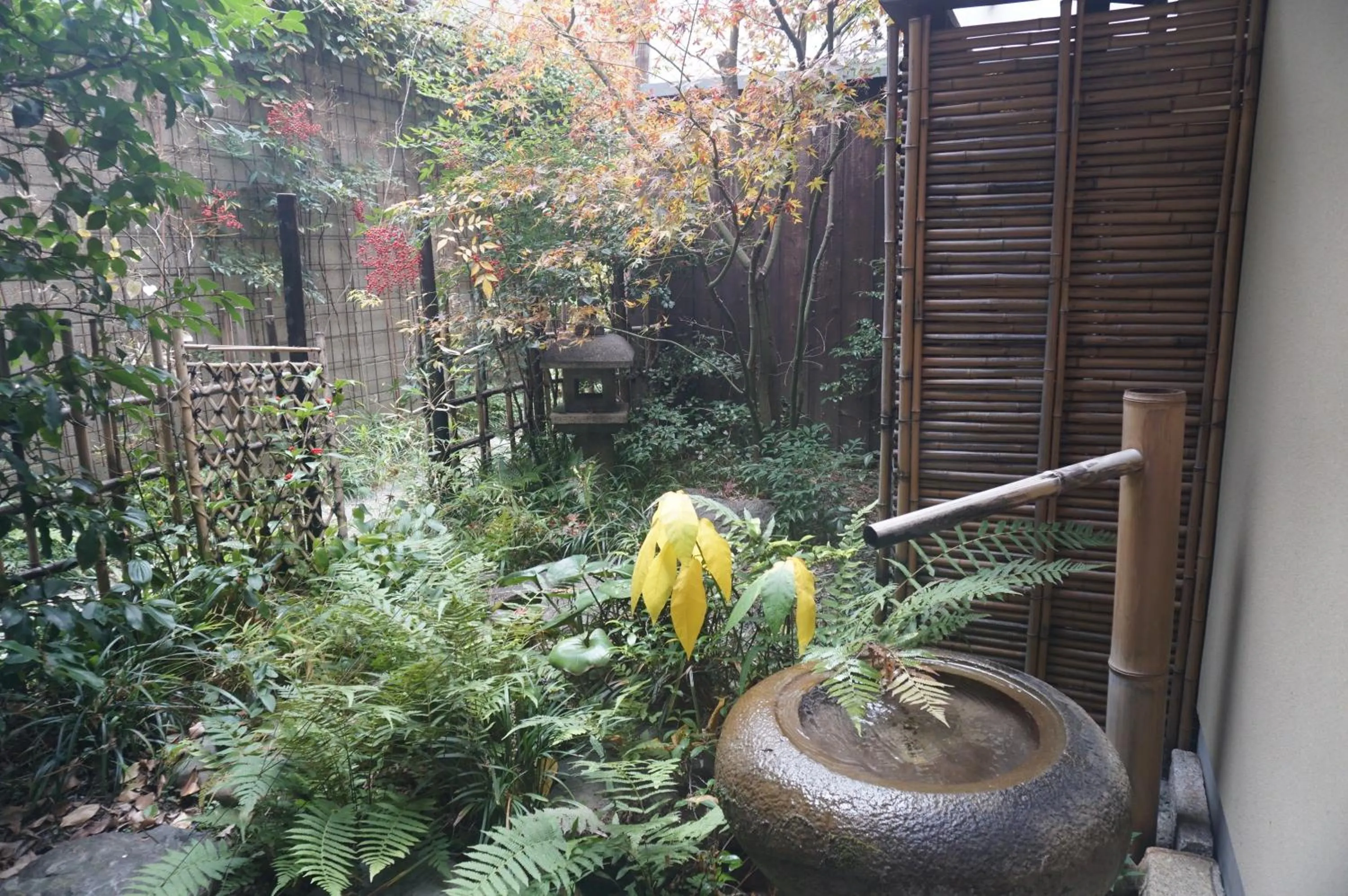 Garden in Kanade Shijo-Shimmachi