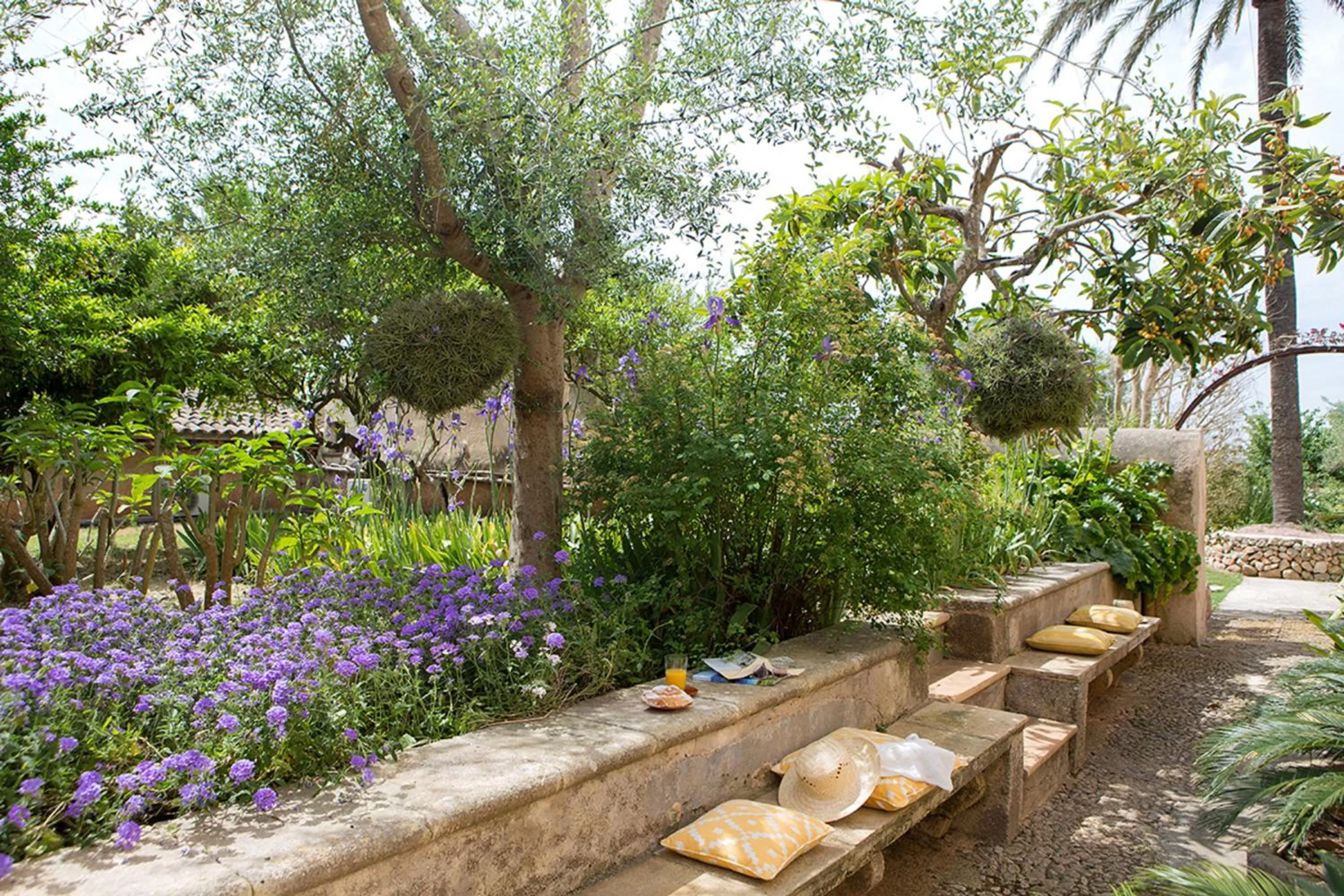 Off site in Agroturismo Es Pla De Llodrá