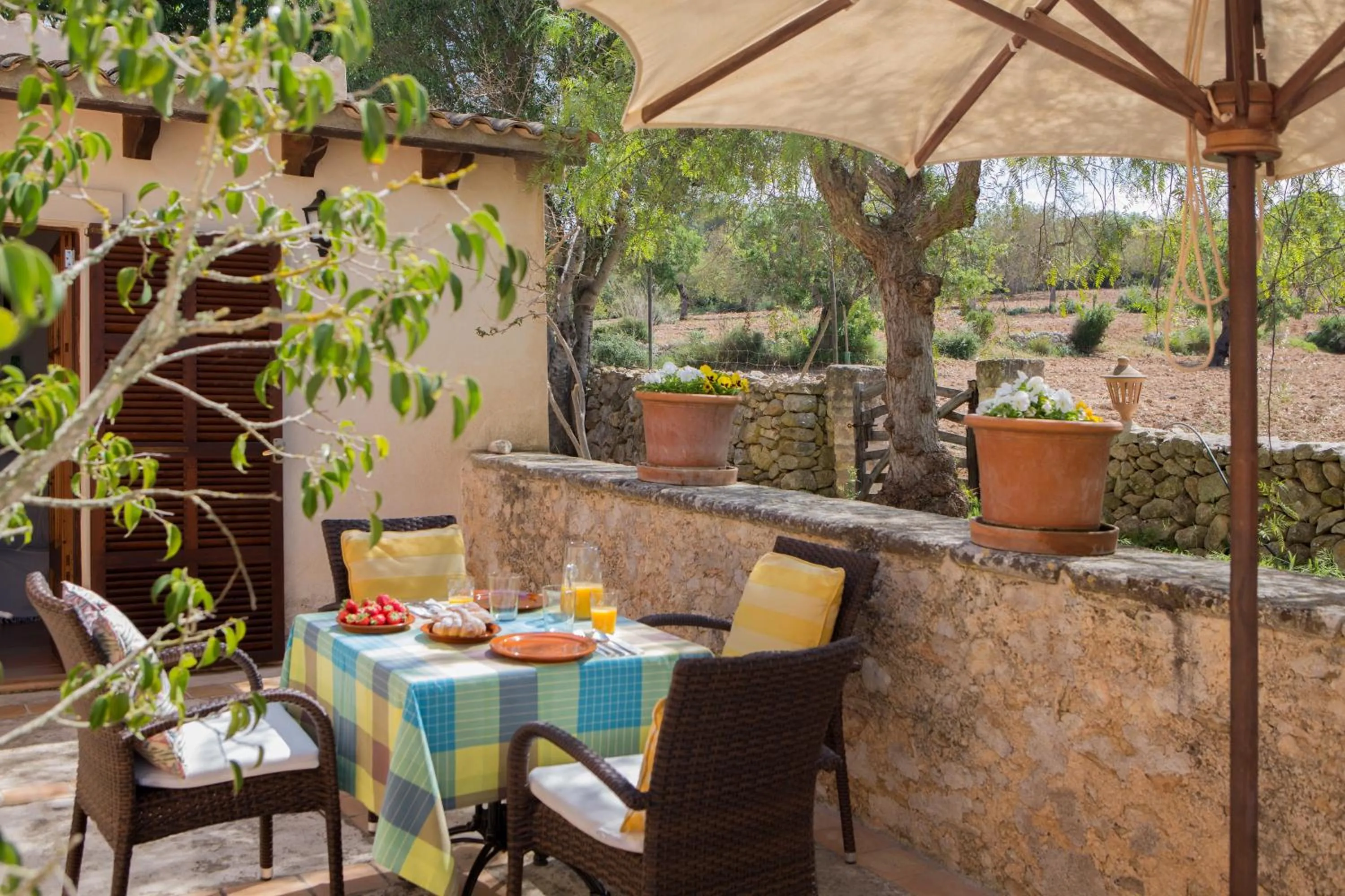Patio in Agroturismo Es Pla De Llodrá