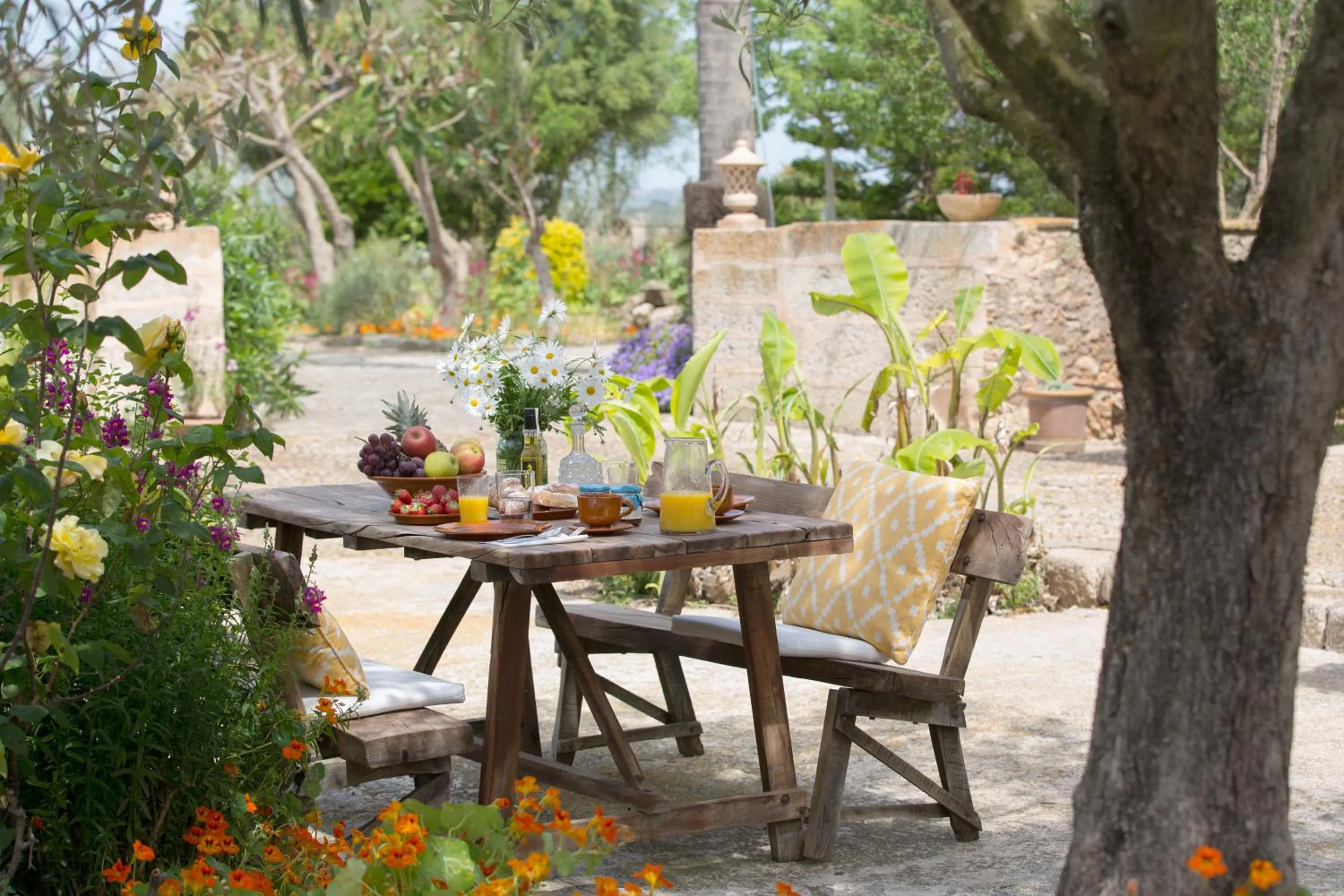 Garden in Agroturismo Es Pla De Llodrá